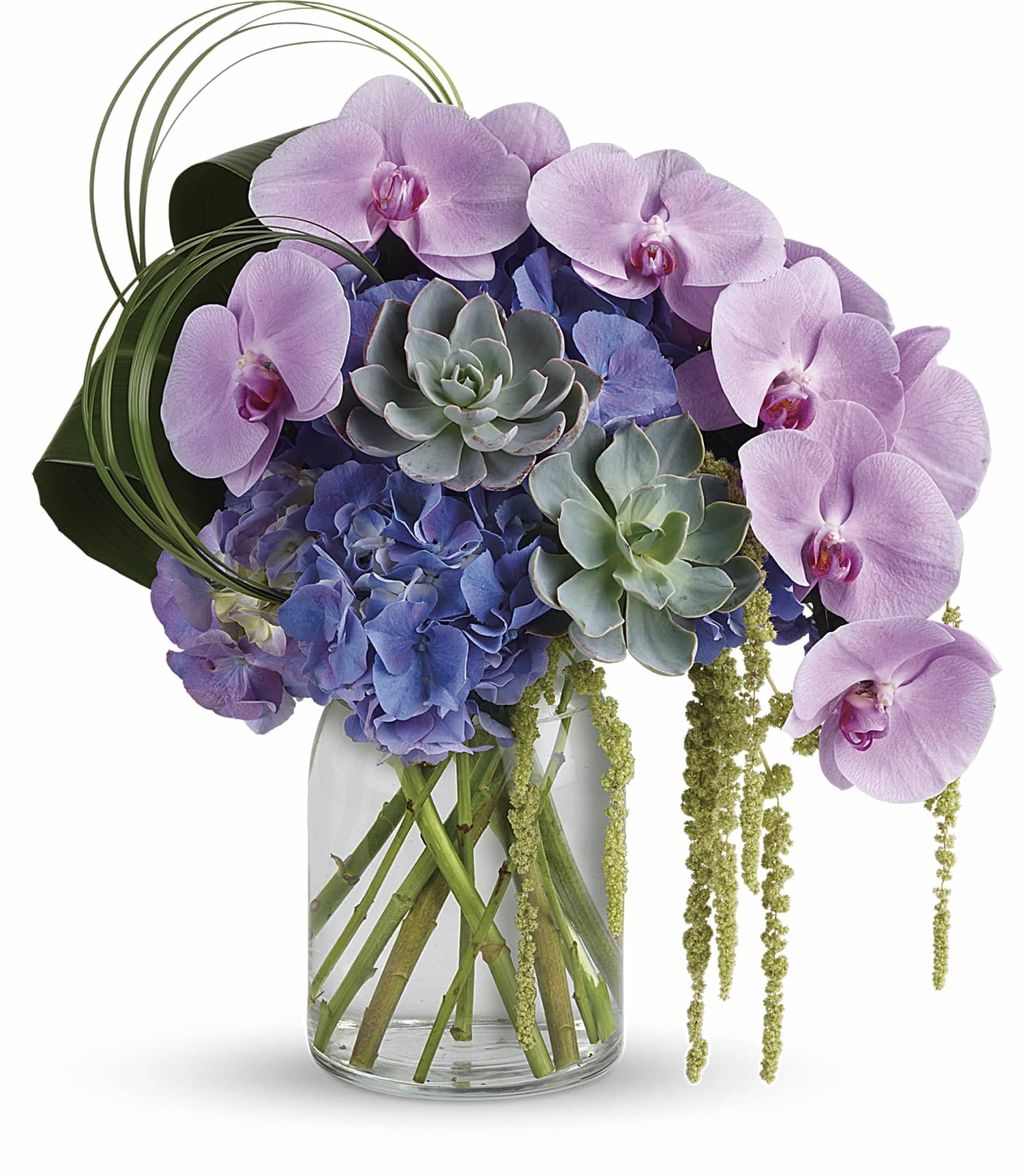 Exquisite Elegance In Metuchen Nj Gardenias Floral