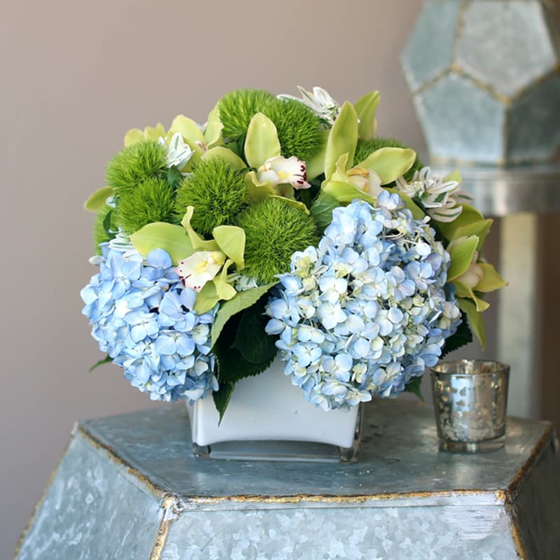 two -tone color arrangement in MILLBURN, NJ | MILLBURN FLORIST-FRESHART