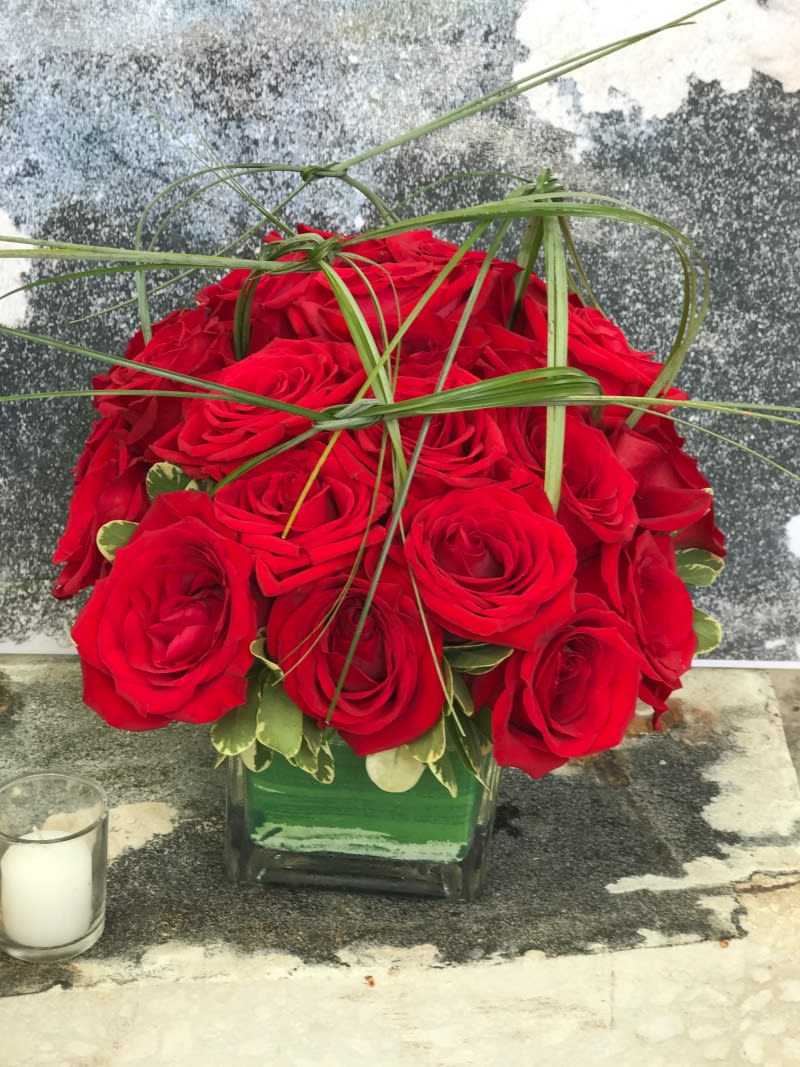 2 Dozen Red Rose Pave In Fort Lauderdale Fl Victoria Park Flower Studio