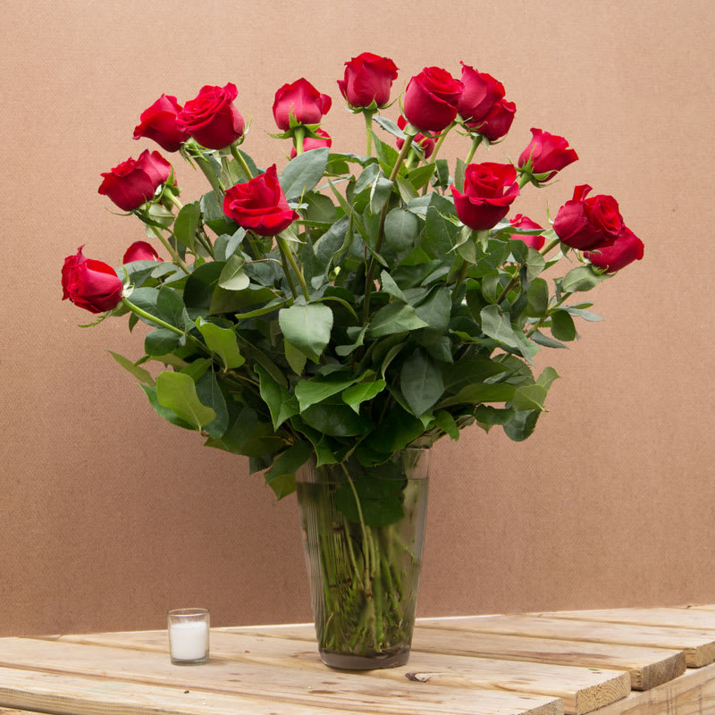 2 Dozen Premium Long Stem Red Roses In Peabody Ma Evans Flowers
