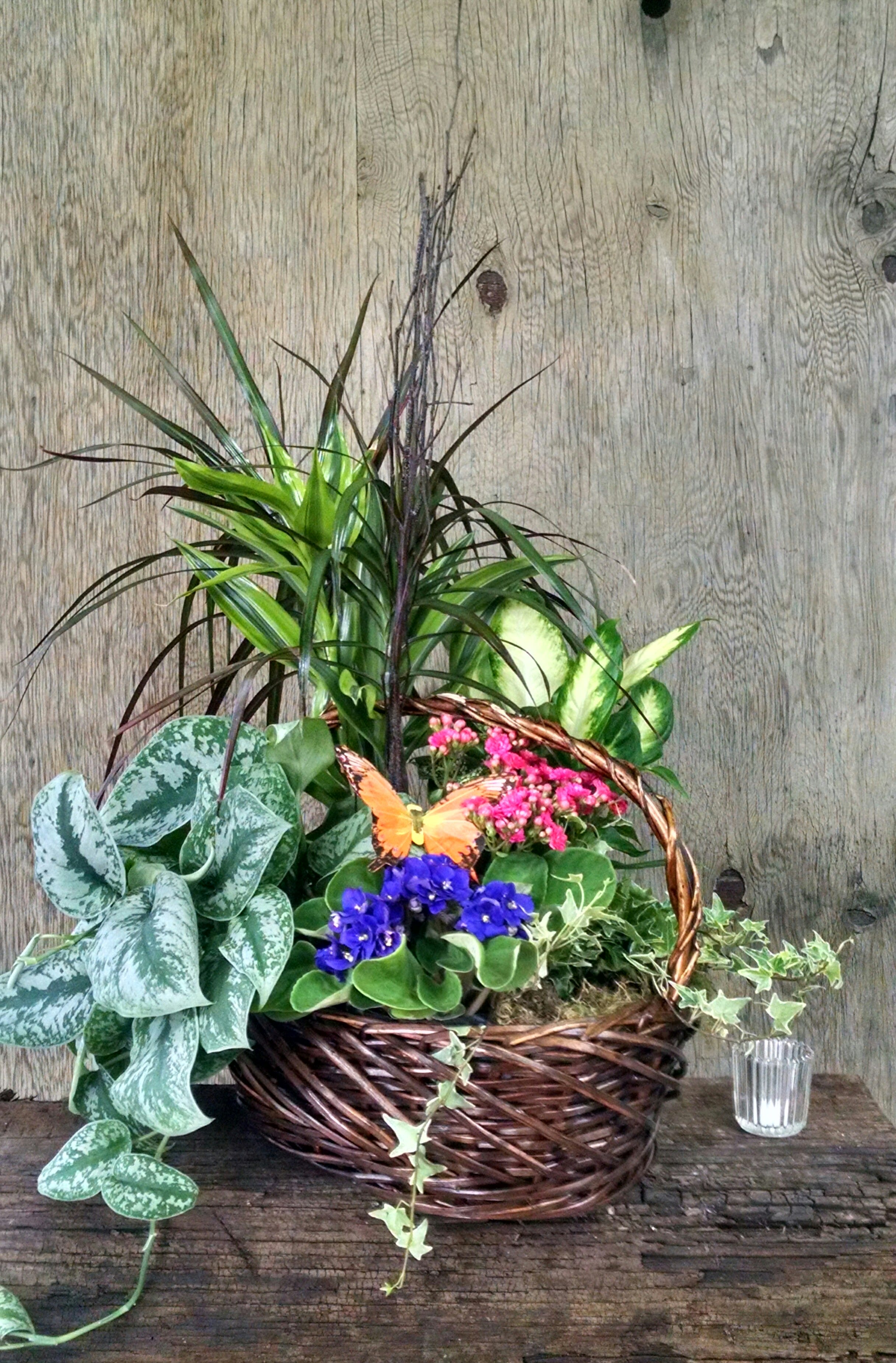 EUROPEAN DISH GARDEN in Los Angeles, CA Darling's Flowers