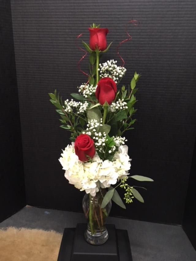 Flowers Near Frederick Md Best Flower Site