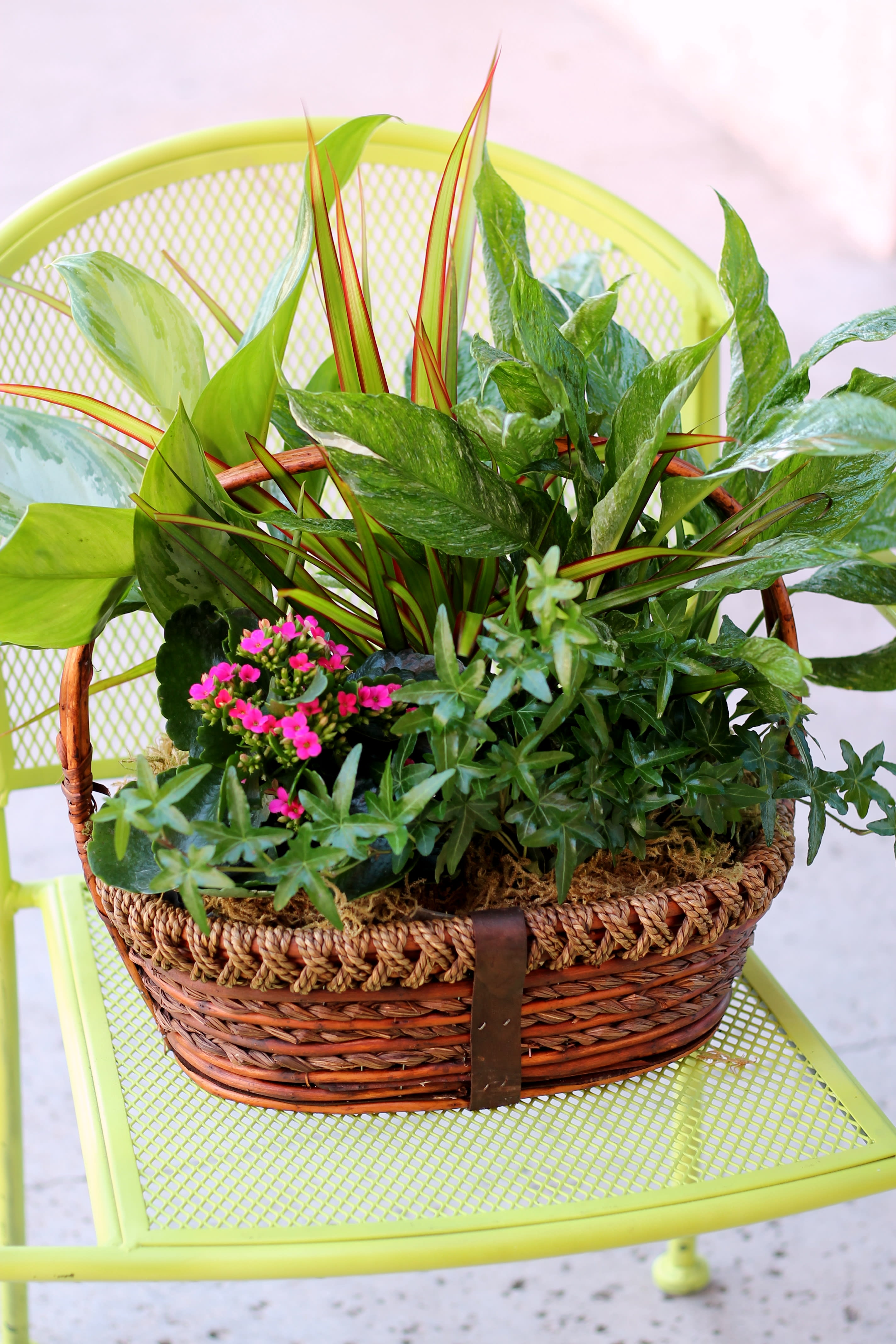 medium planter basket in