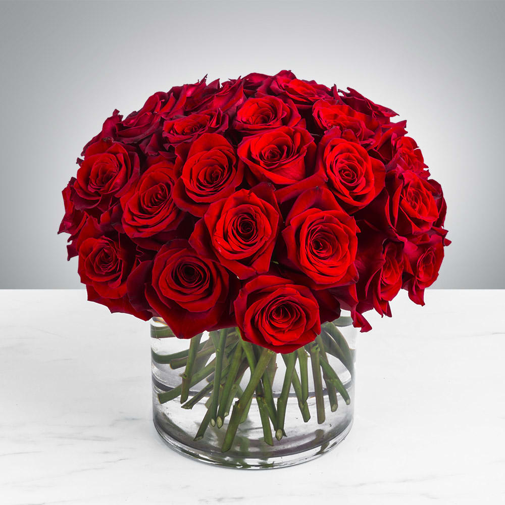 two dozen red roses