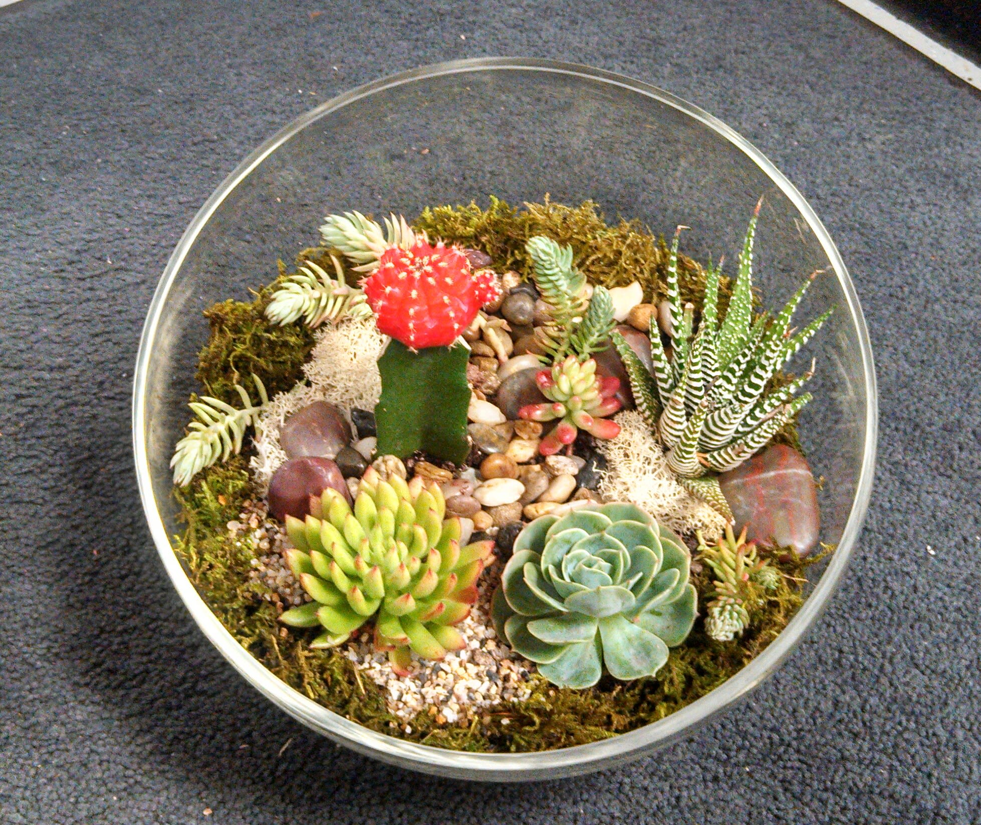 Glass Bowl With Succulent Garden By Showcase Flowers