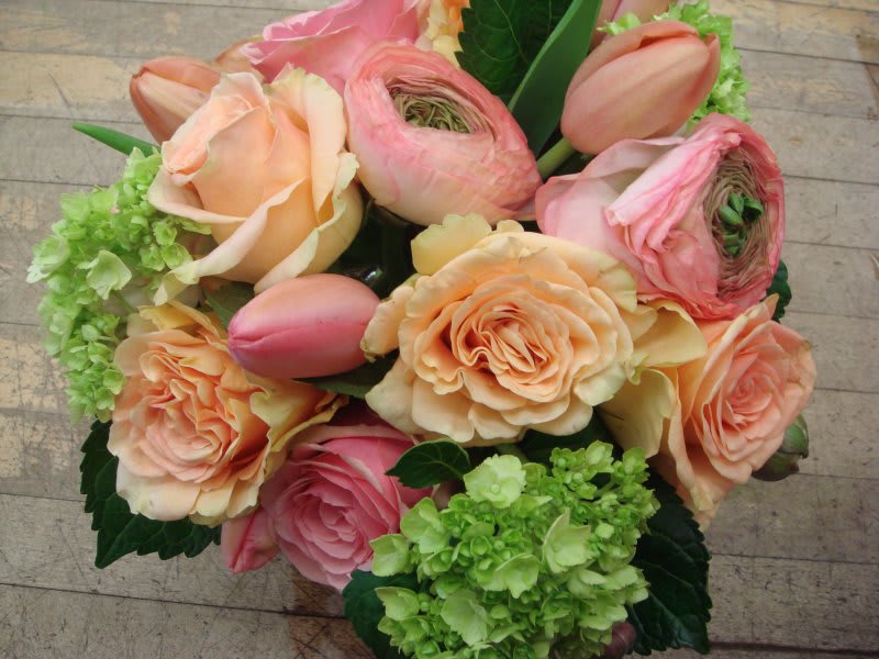 Pretty In Peach, Pink & Green in Cambridge, MA Hallie's Garden