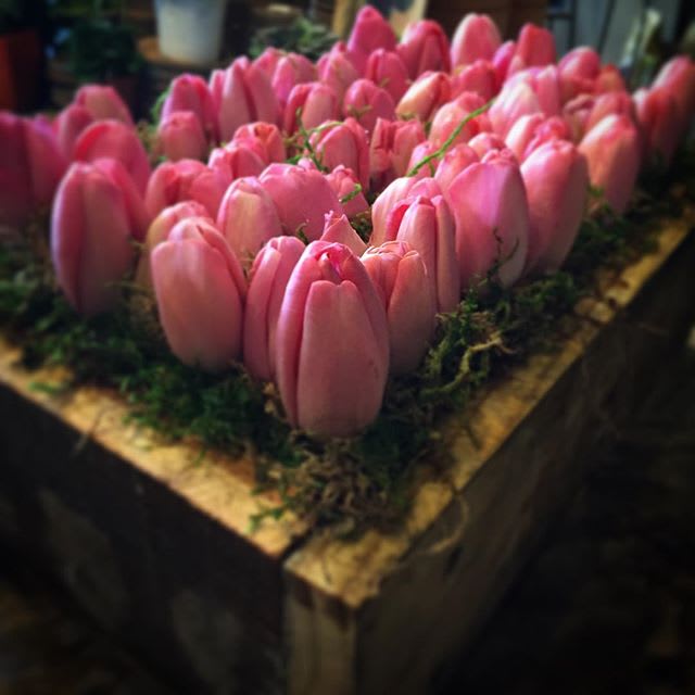 Barn Wood Box Filled With Imported Premium Tulips In Hoboken Nj