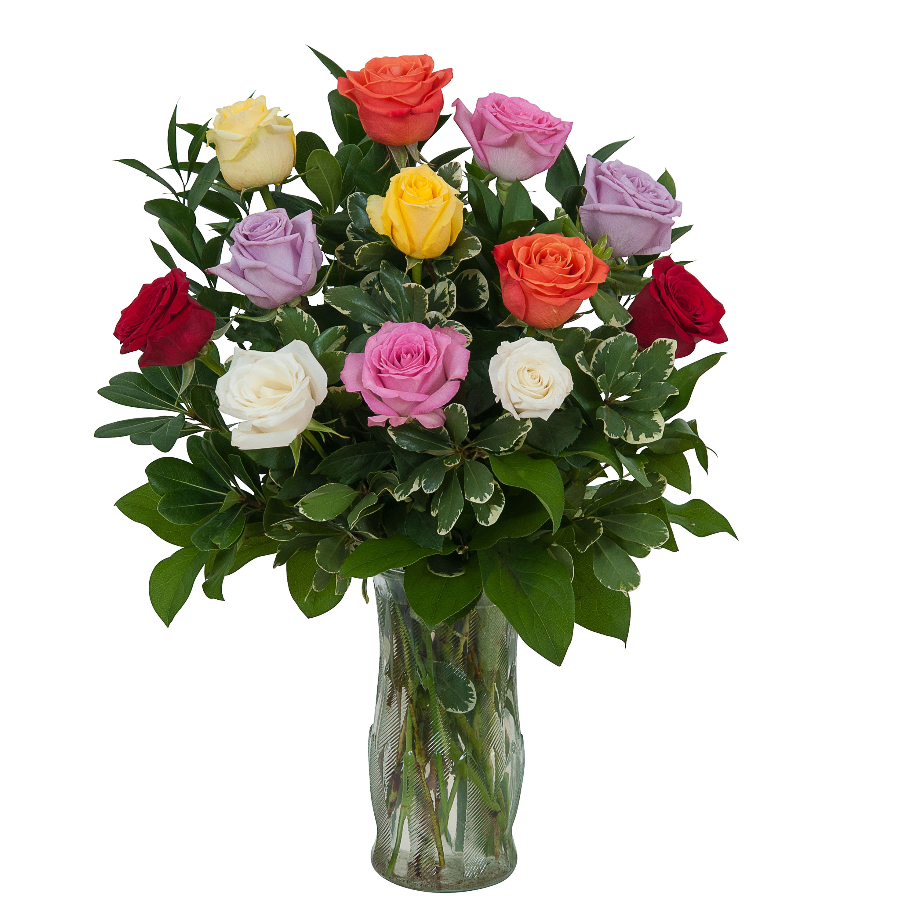 Mixed colored dozen roses TMF601 in Bensalem, PA Flower Girl Florist