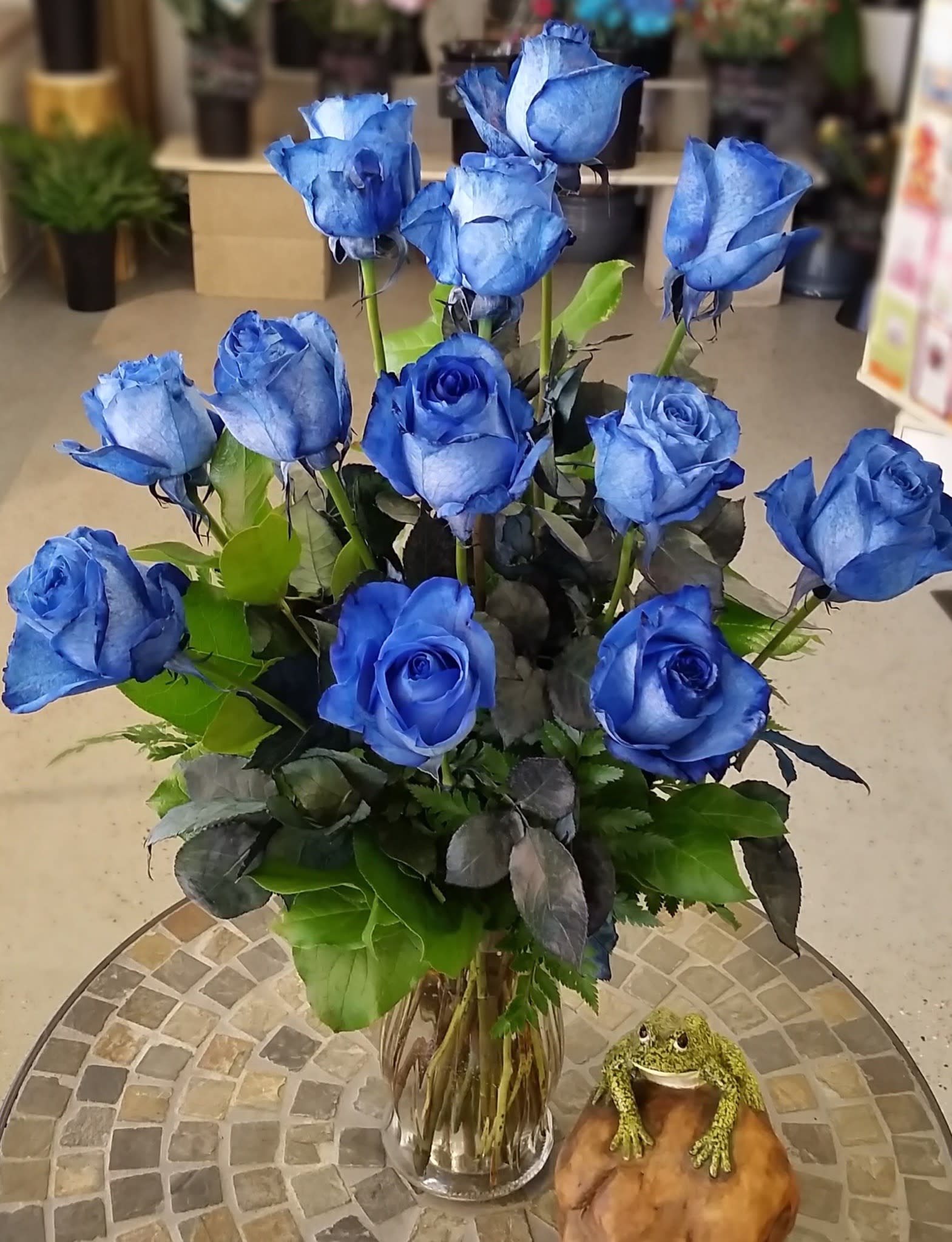 one dozen blue roses