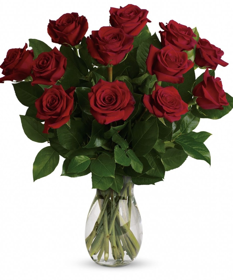Classic Red Roses In Mclean Va Flowers Plants Etc