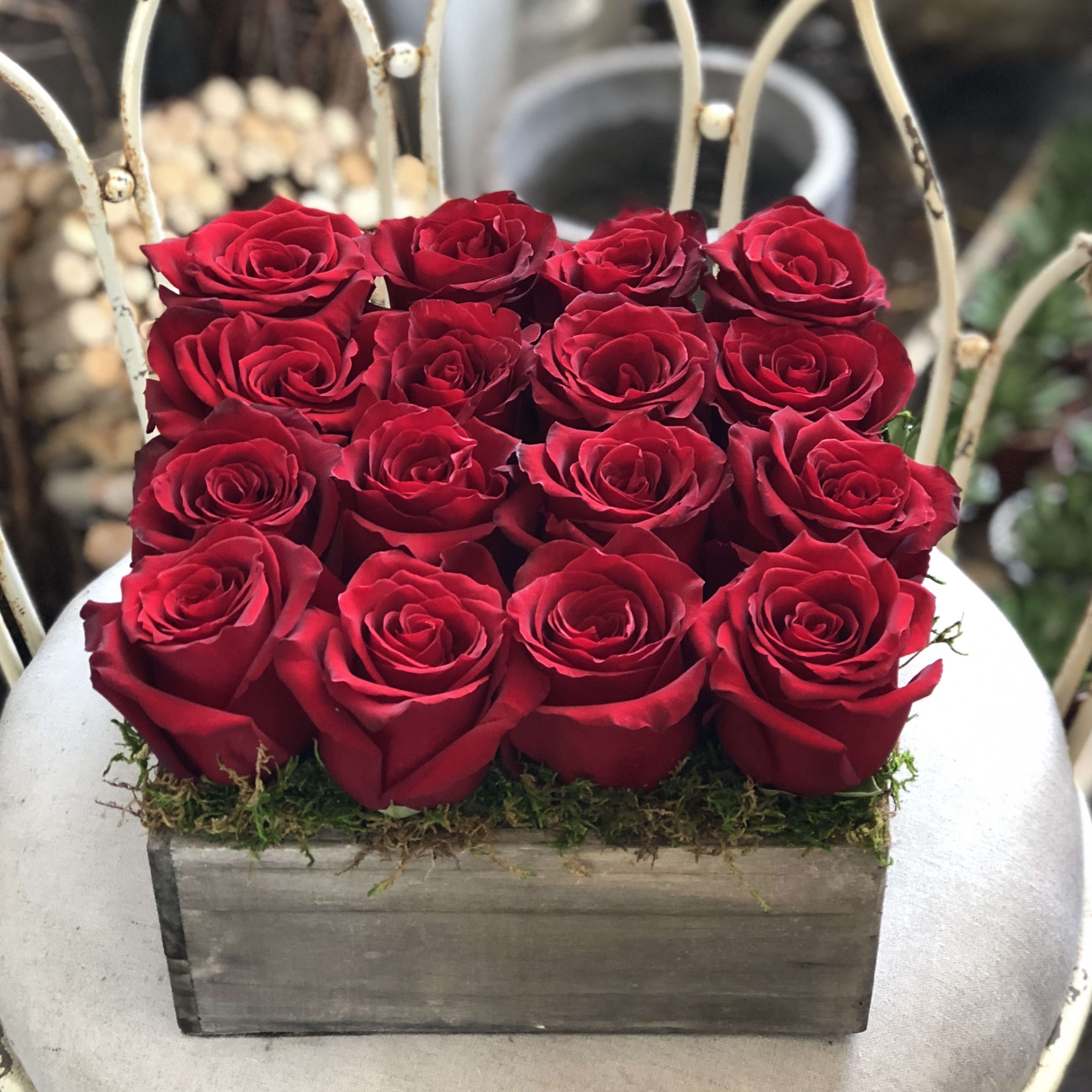 Roses are Red... in Newport Beach, CA | Urban Gardener