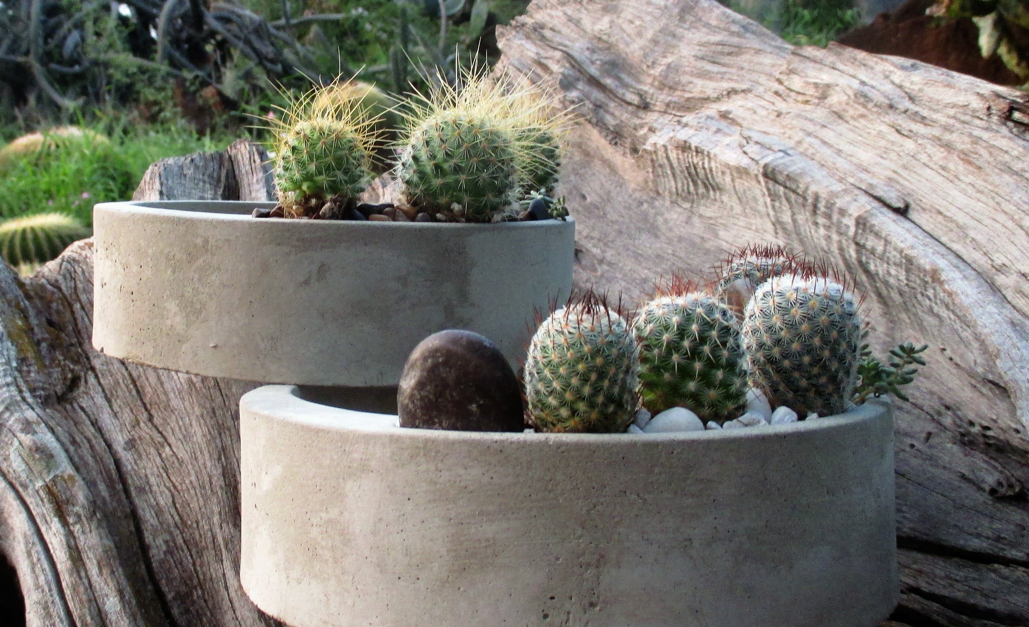 6. Timeless Charm: Concrete Planters For Lasting Appeal