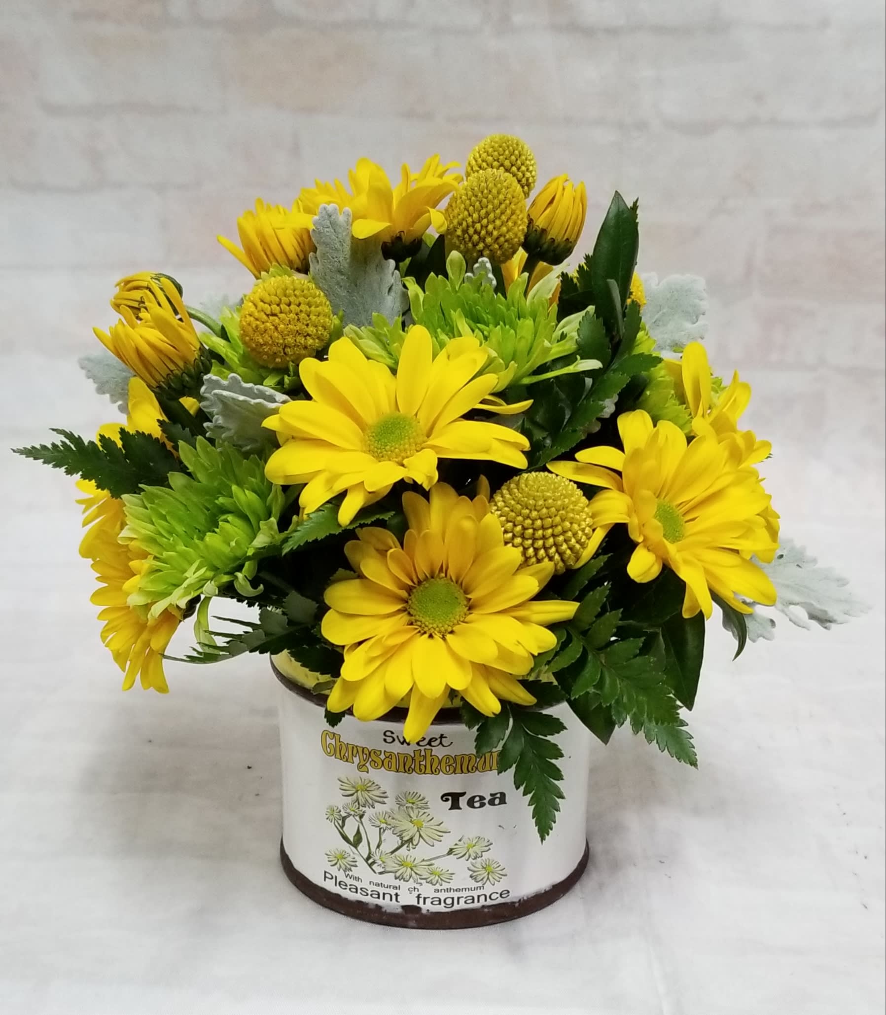 Chrysanthemum Tea Time by Strelitzia Flower Company