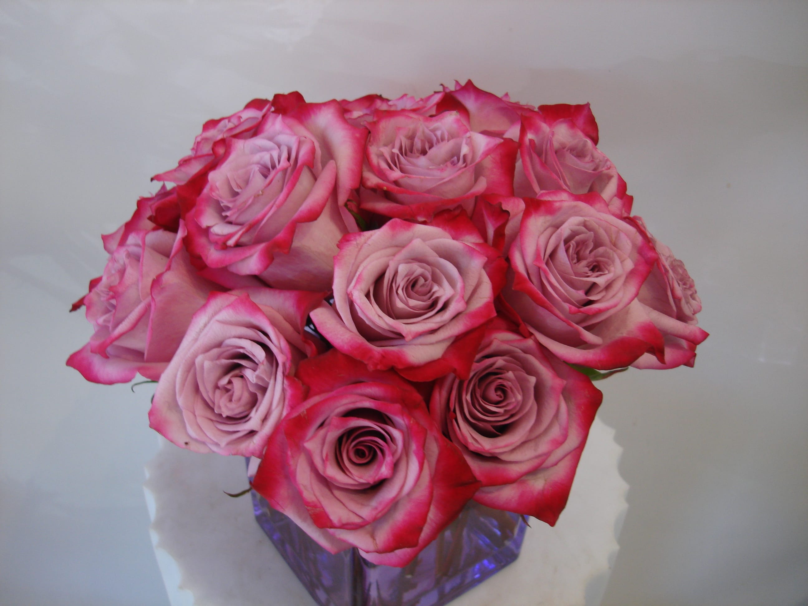 Lavender Roses with purple tips W601 in San Francisco, CA Fillmore