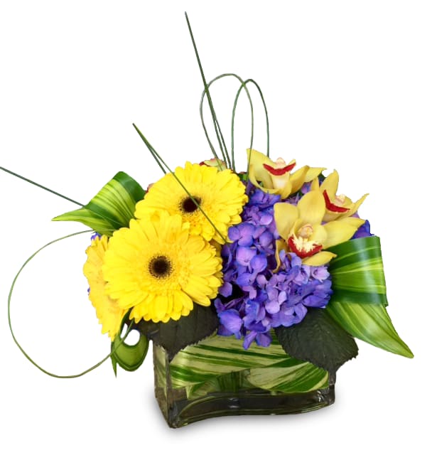 Brightest Light By Newport Florist NF258 in Newport Beach ...