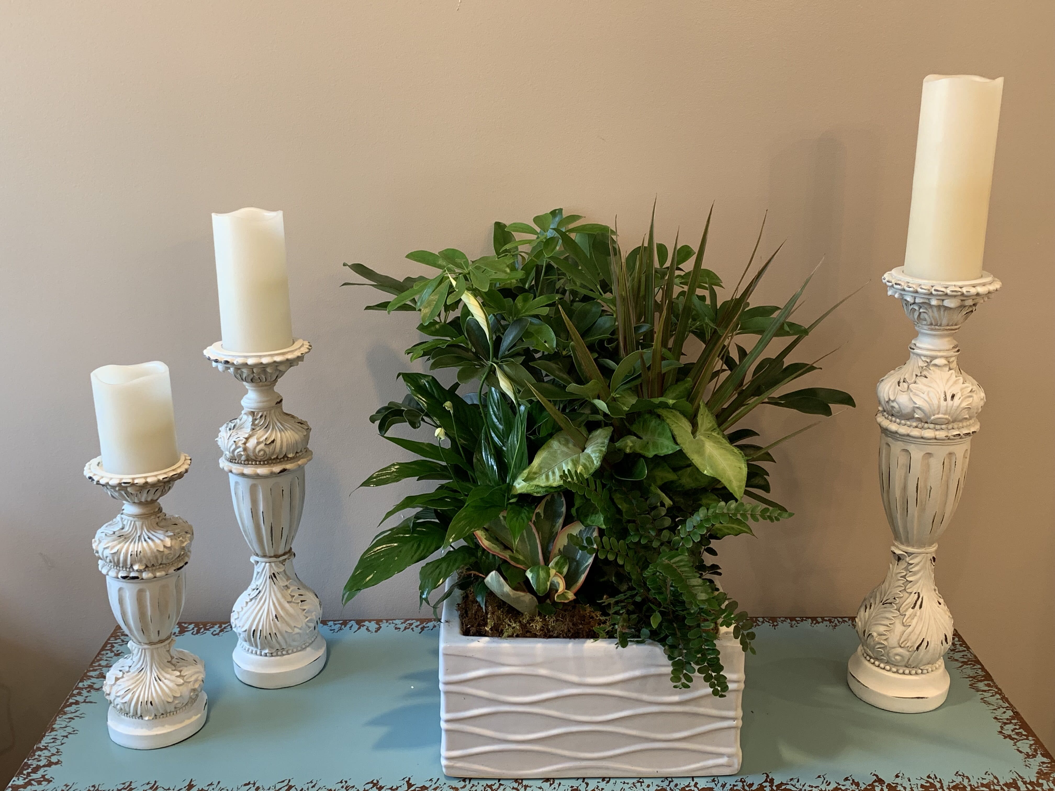 Dish garden ceramic in Morgantown, WV | Bella Fiore Floral