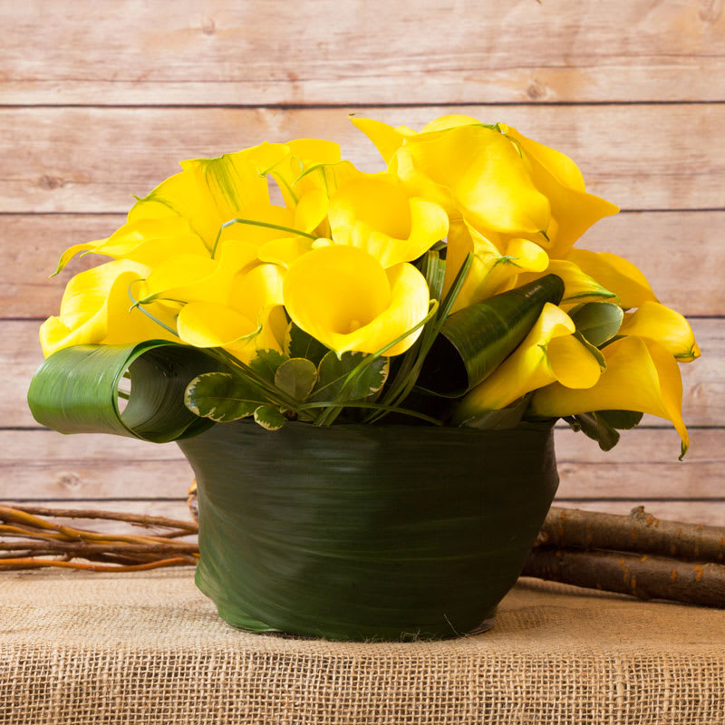 Calla Lilies Arrangement In New York Ny Flowers By Philip