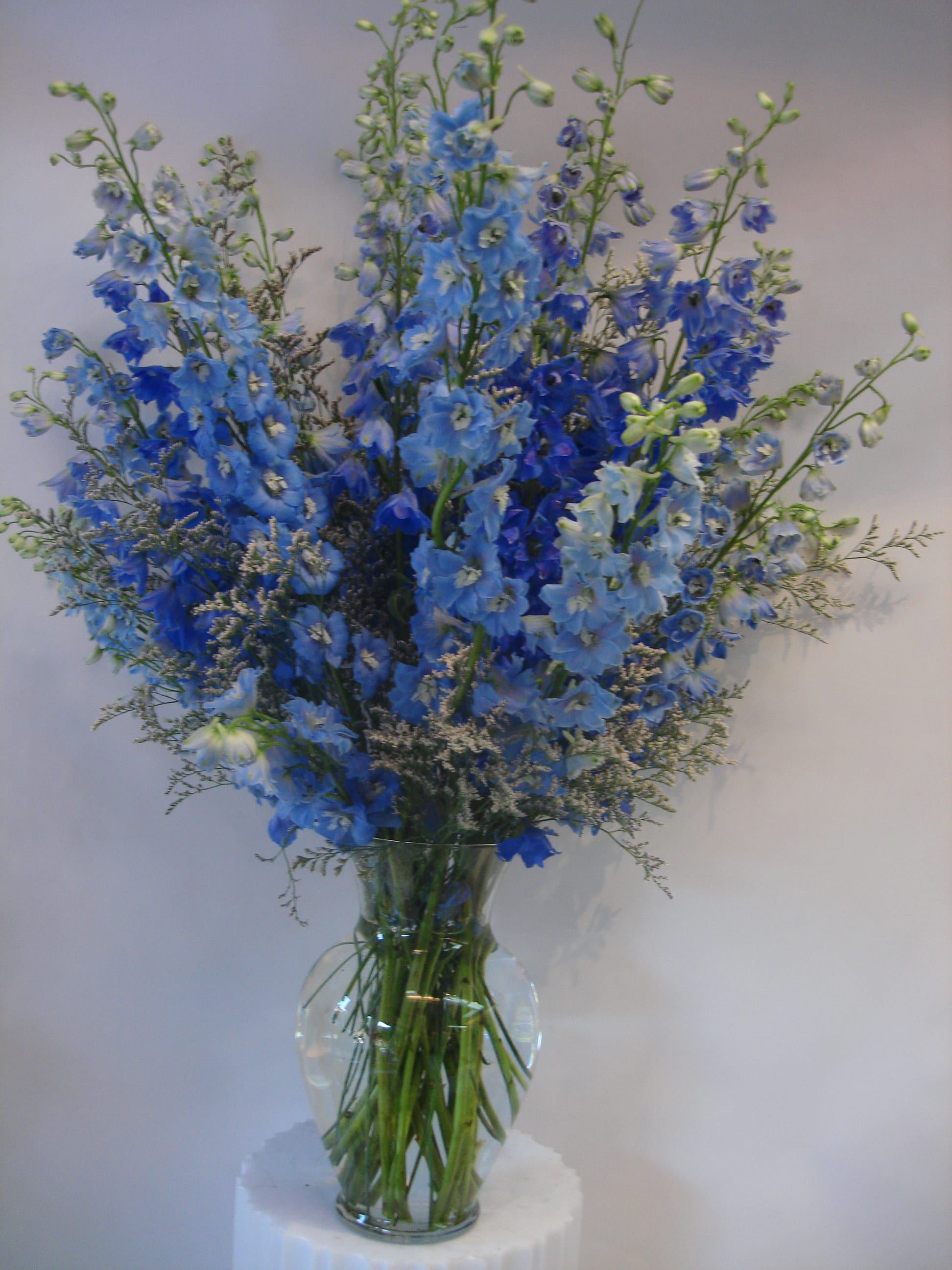 Blue Delphinium Flower Arrangement In San Francisco Ca Fillmore Florist San Francisco 5364