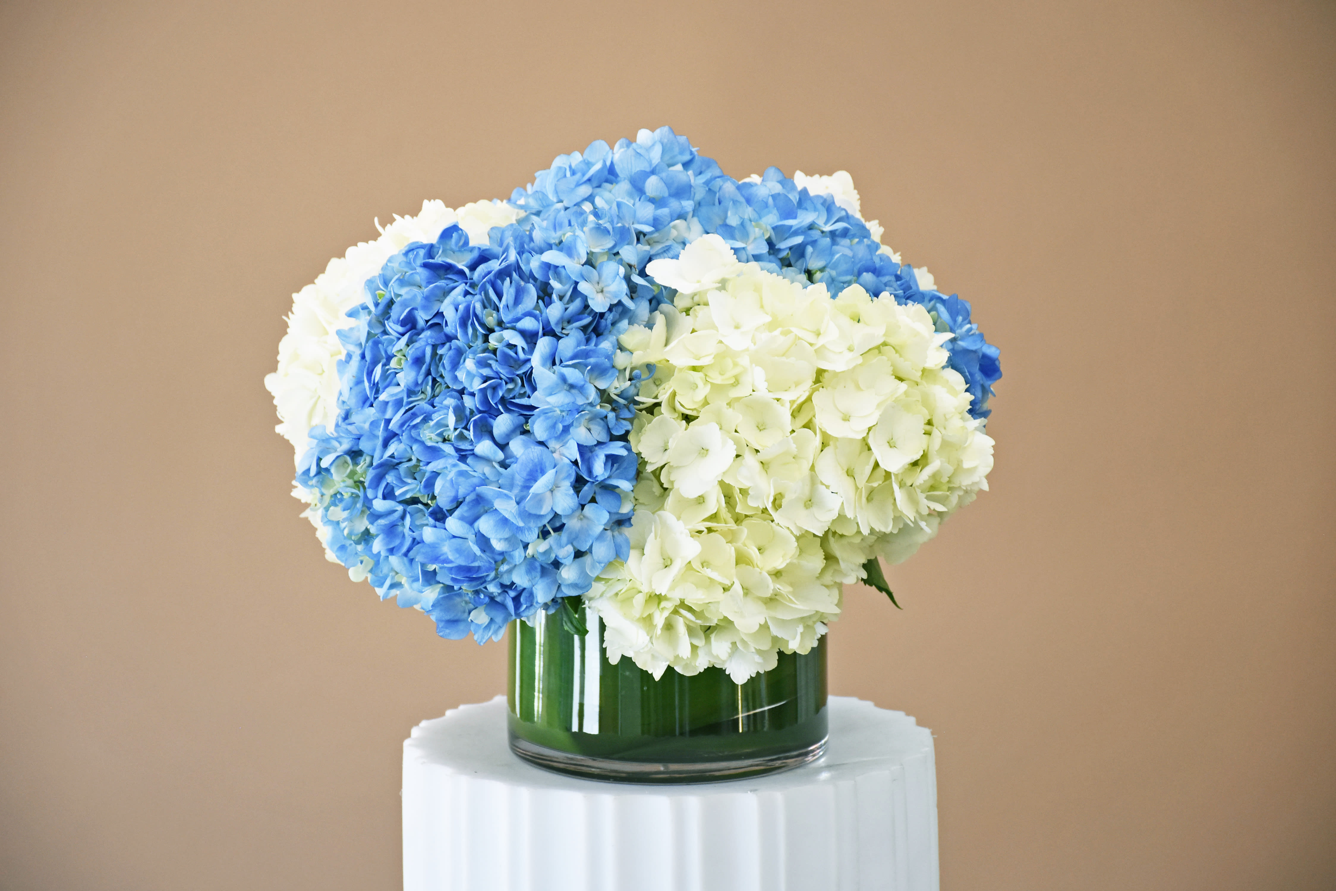 White and Blue Hydrangea - W467 in San Francisco, CA | Fillmore Florist