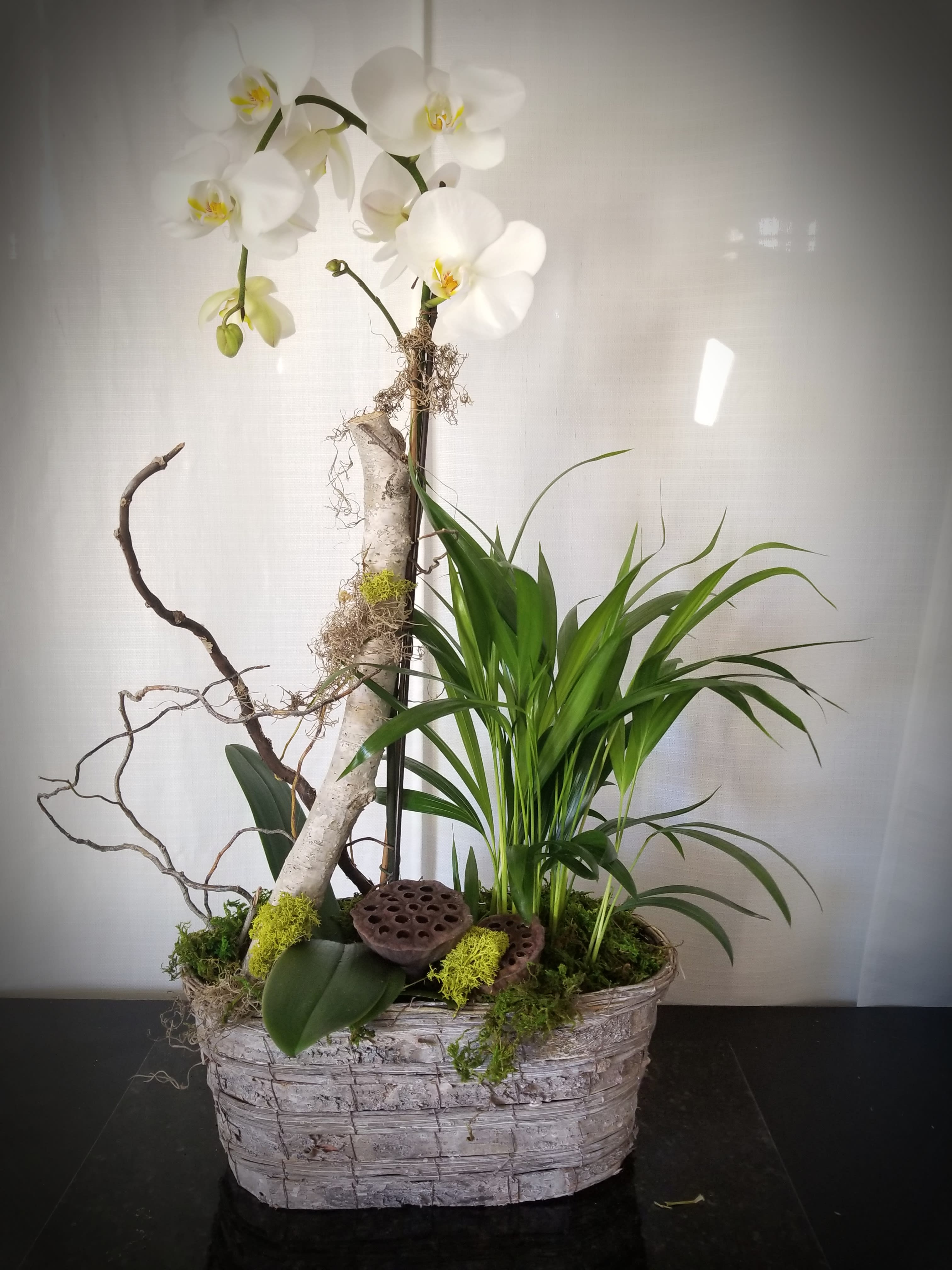 Orchid Basket in Santa Maria, CA JP Designs Floral