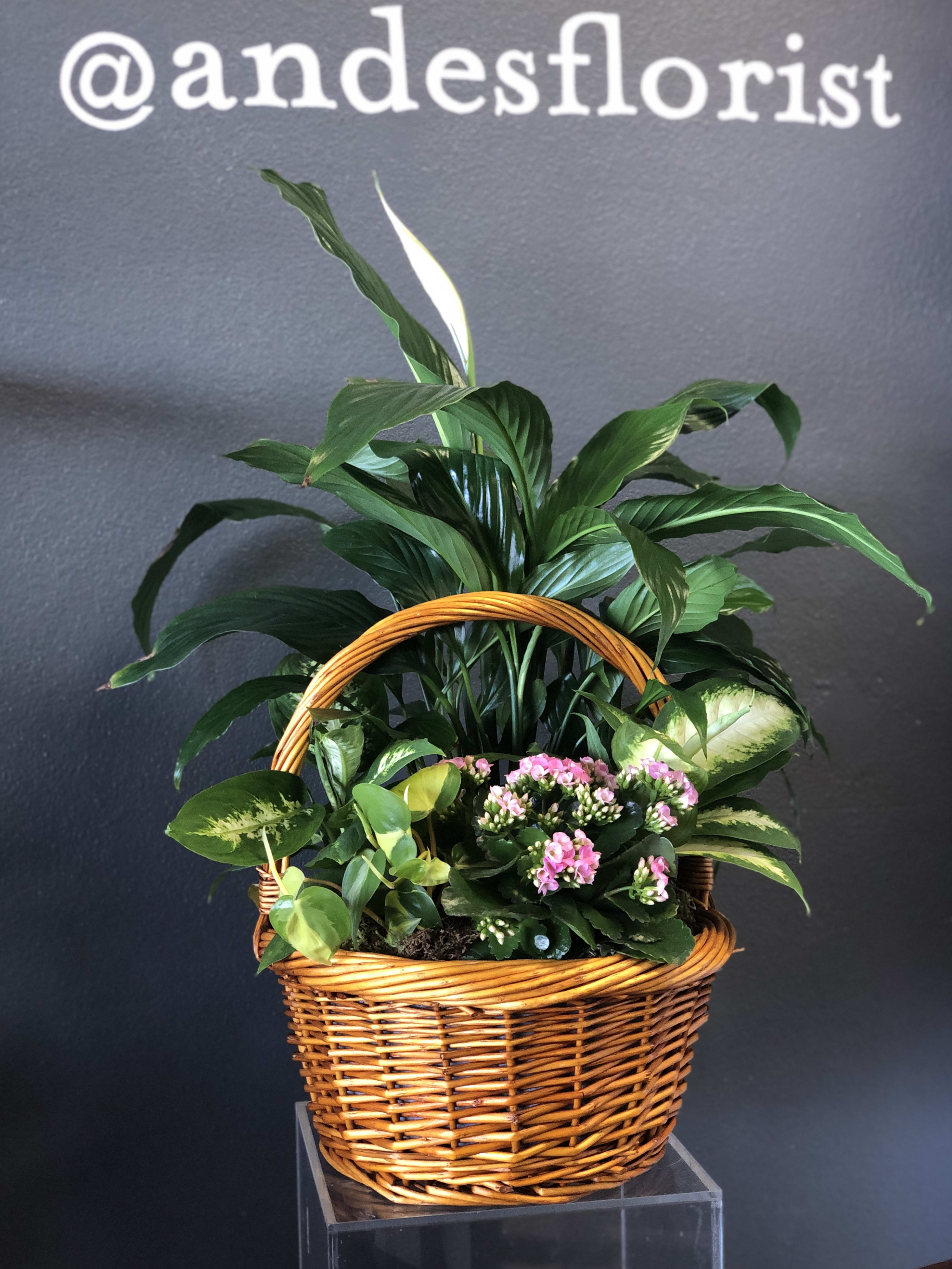 Florist Designed Blooming and Green Plants in a Basket in Torrance, CA