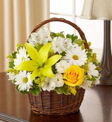 Peace Prayers Blessings Yellow And White In Hollywood Fl