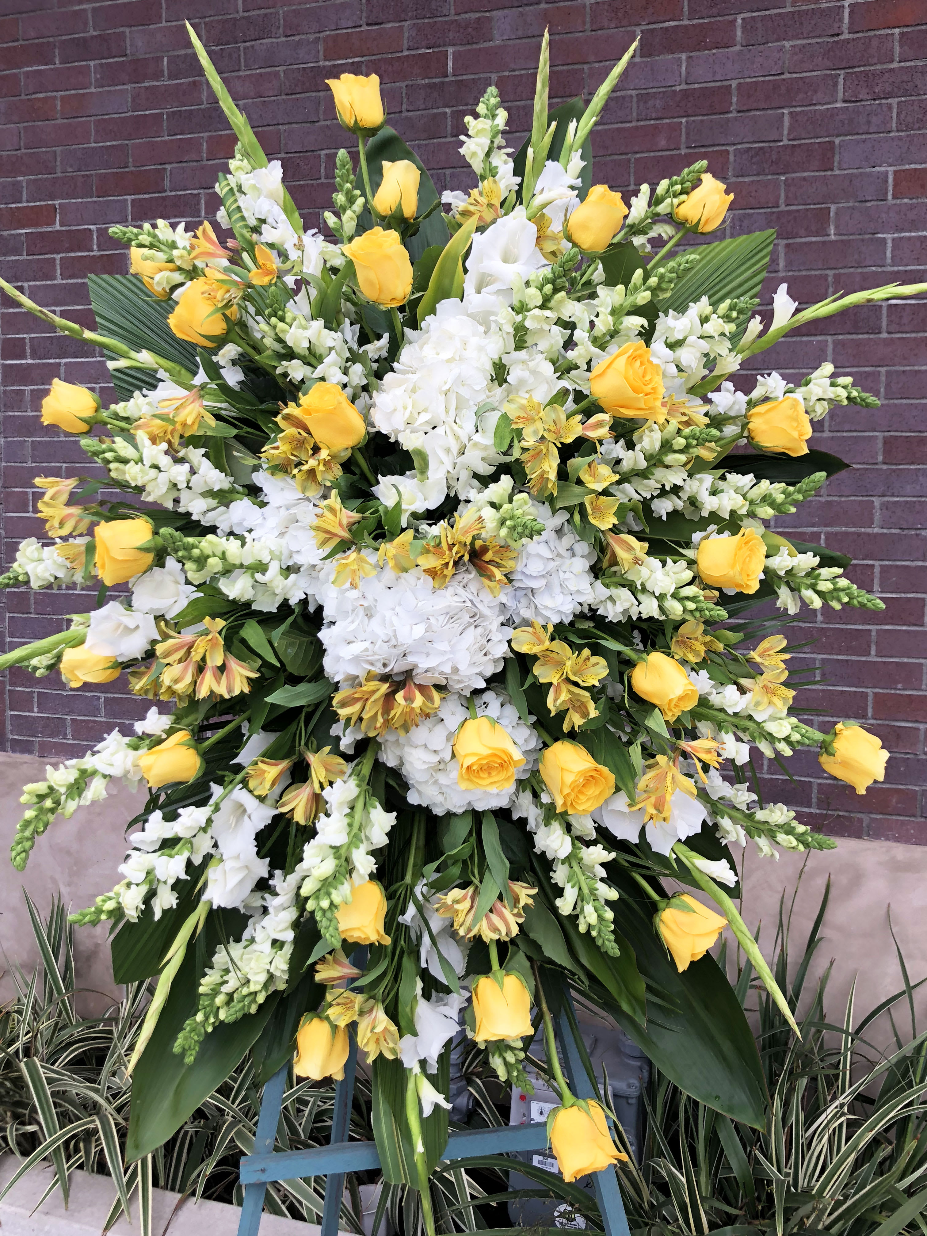 Elegant Yellow in Tustin, CA Growers Direct Flowers