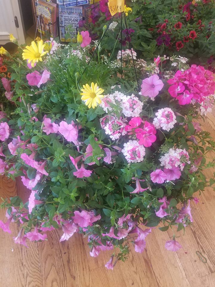 Super sized hanging baskets THERE BACK!! in St Louis, MO ...