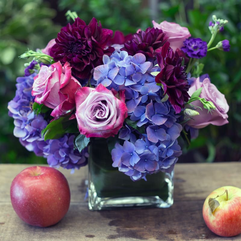 Rich Purples and Blues in Cambridge, MA Hallie's Garden