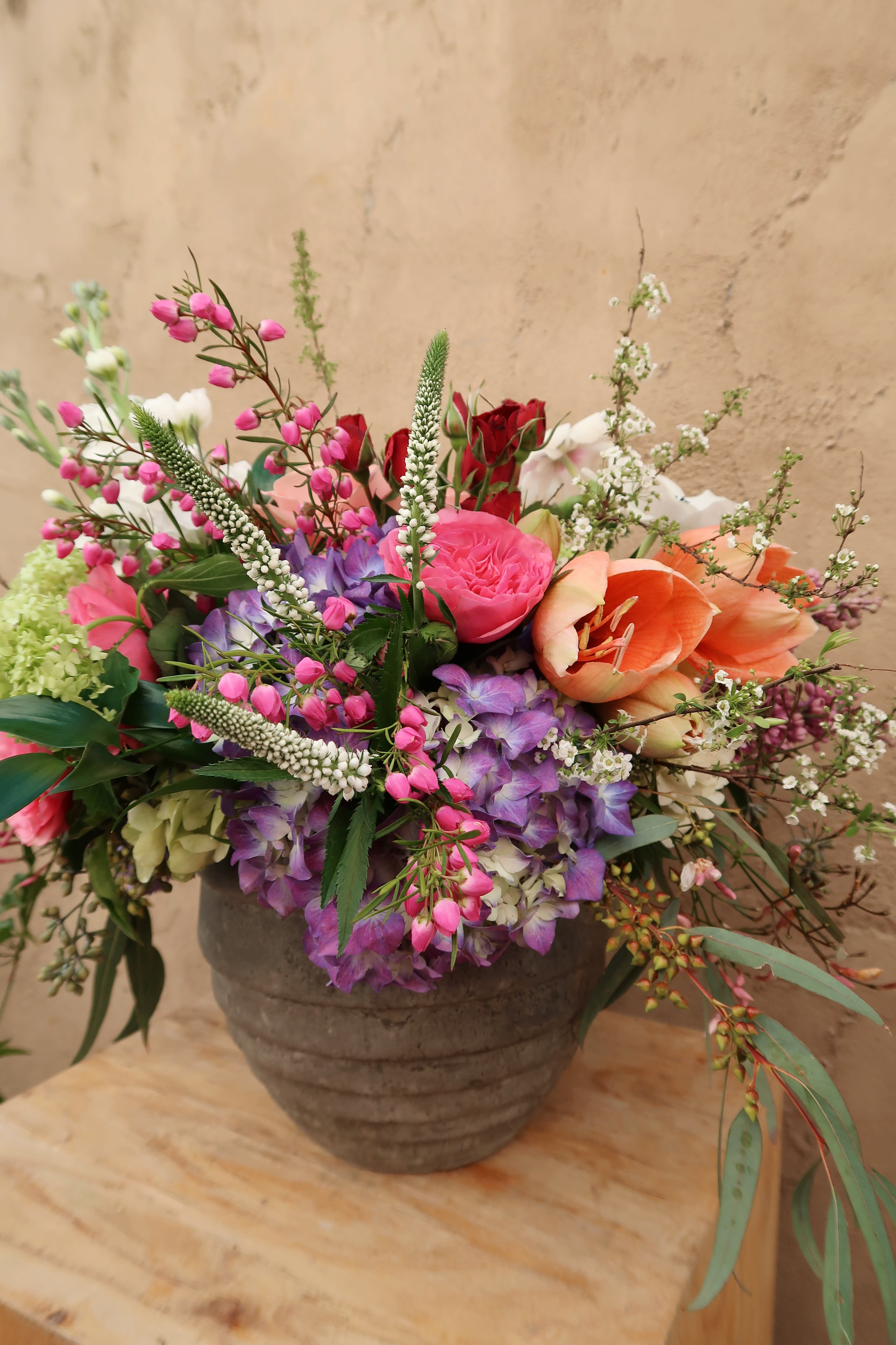 Summer Garden in Miami, FL | Avant Gardens