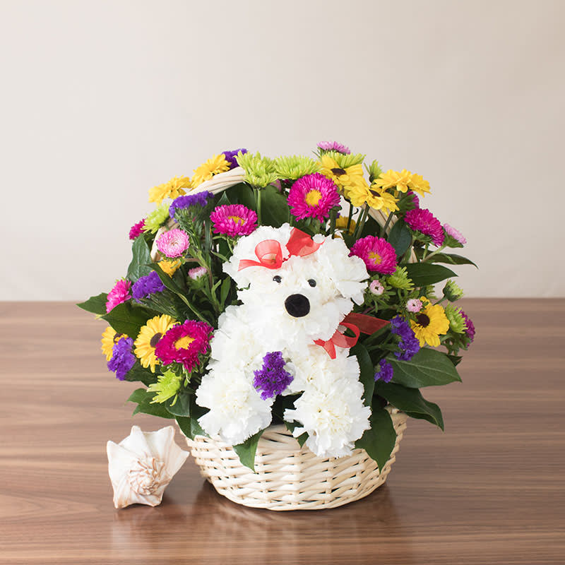 Doggie Delight (Designer Favorite) - Gift this charming basket of flowers to a special someone to brighten up the day. Perfect for birthdays, get well, and dog-lovers.