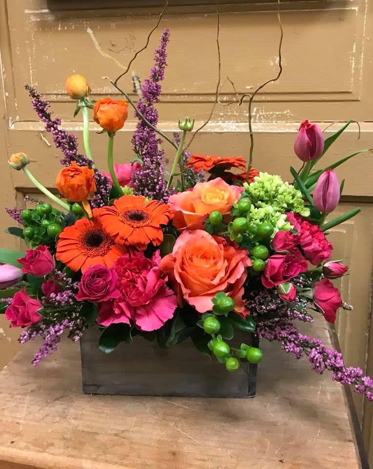 Stella in Muncie, IN Dandelions Flowers & Gifts