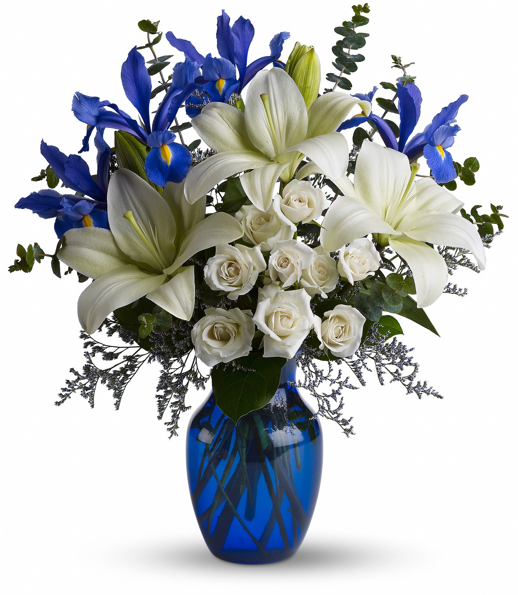 Blue Horizons by Teleflora in Cambridge, MA Coady Florist