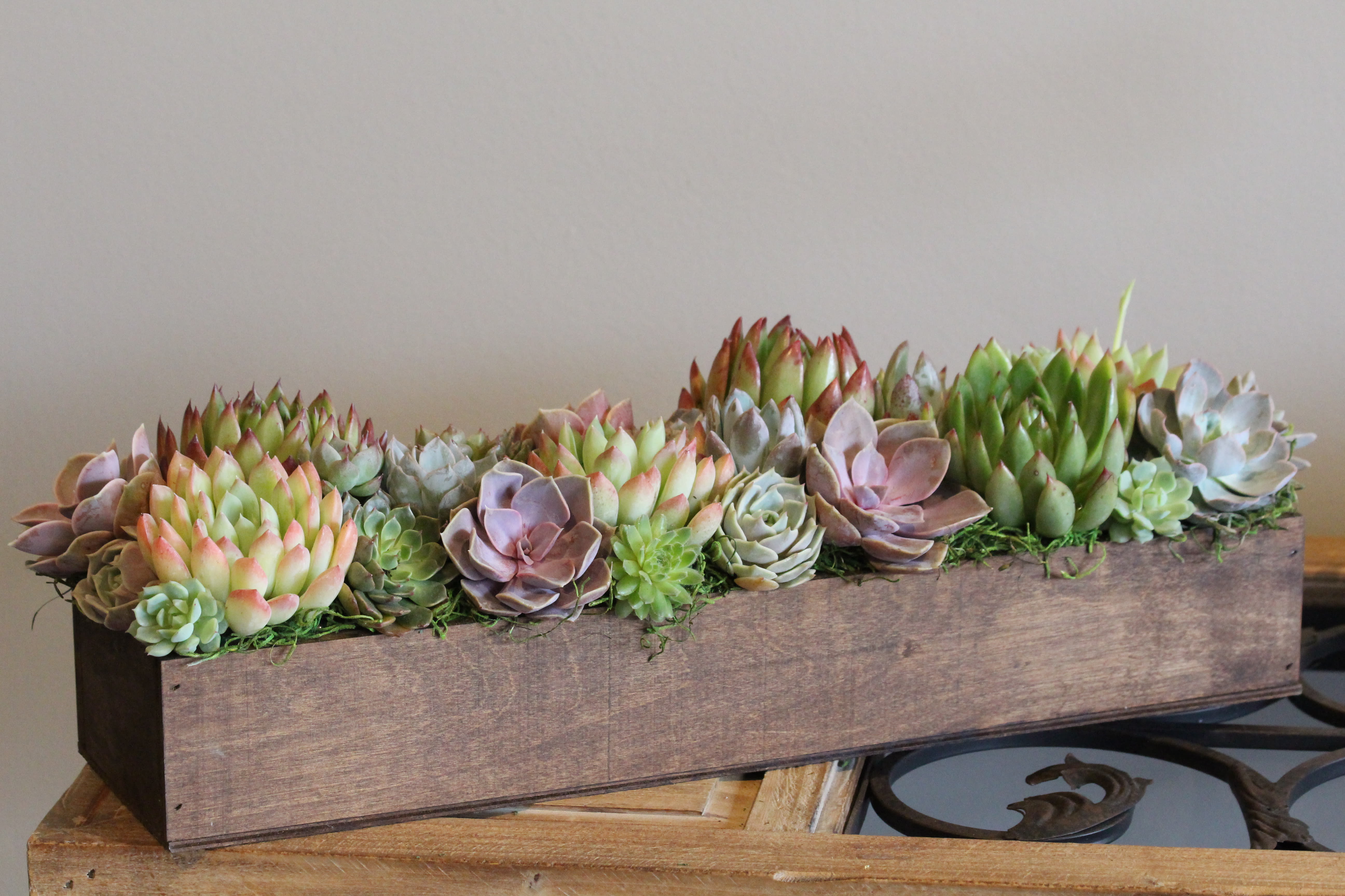 Succulent Garden Box in Arcadia, CA MDS Florist