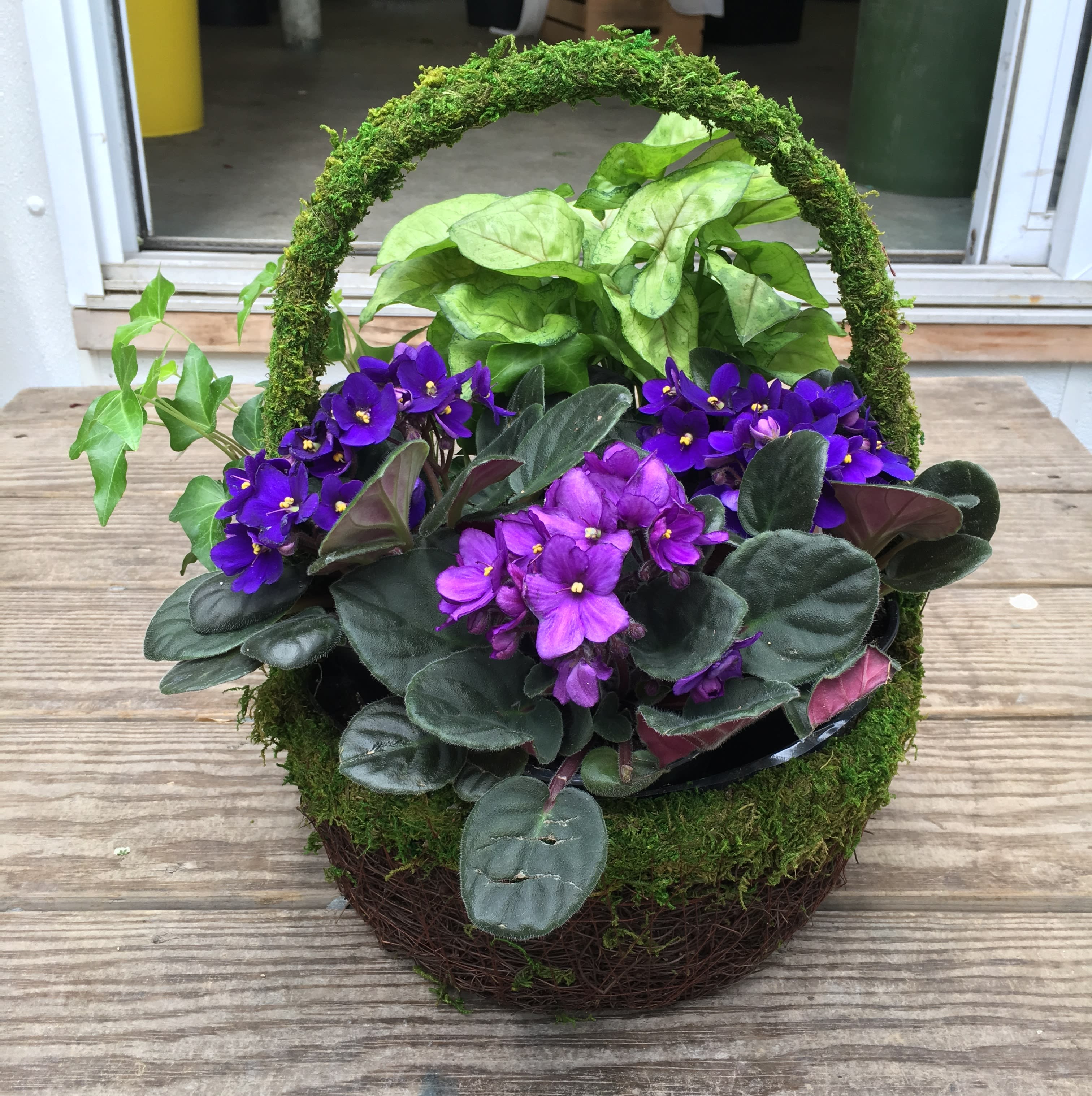 Vivid Violet Basket in Peabody, MA Evans Flowers