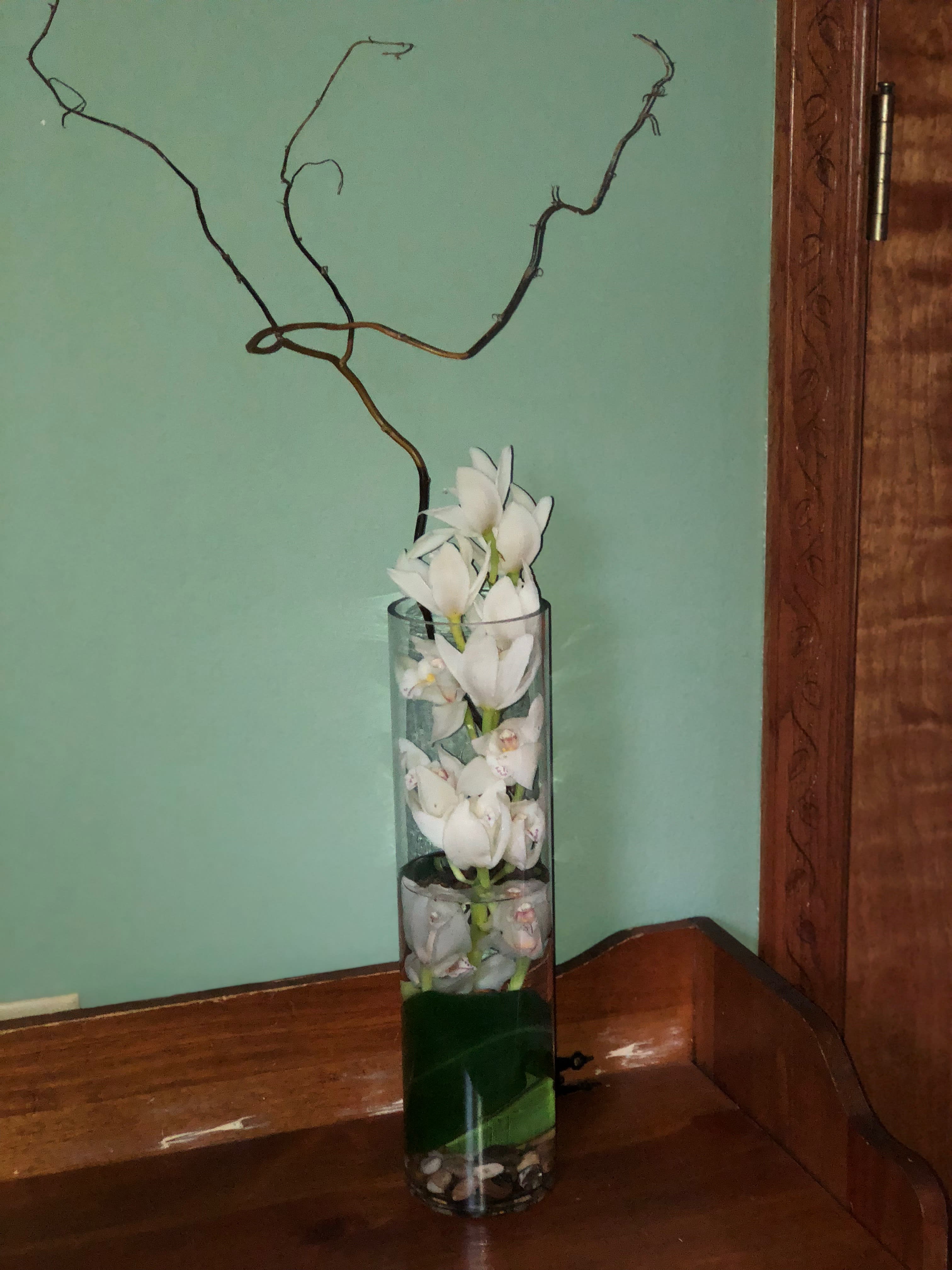 Underwater Orchids in Greenfield, WI Kathy's 2nd Chance Plants, LLC