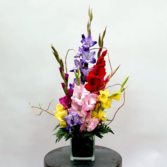 Gladiola Gladness By Flowers By Zach Low