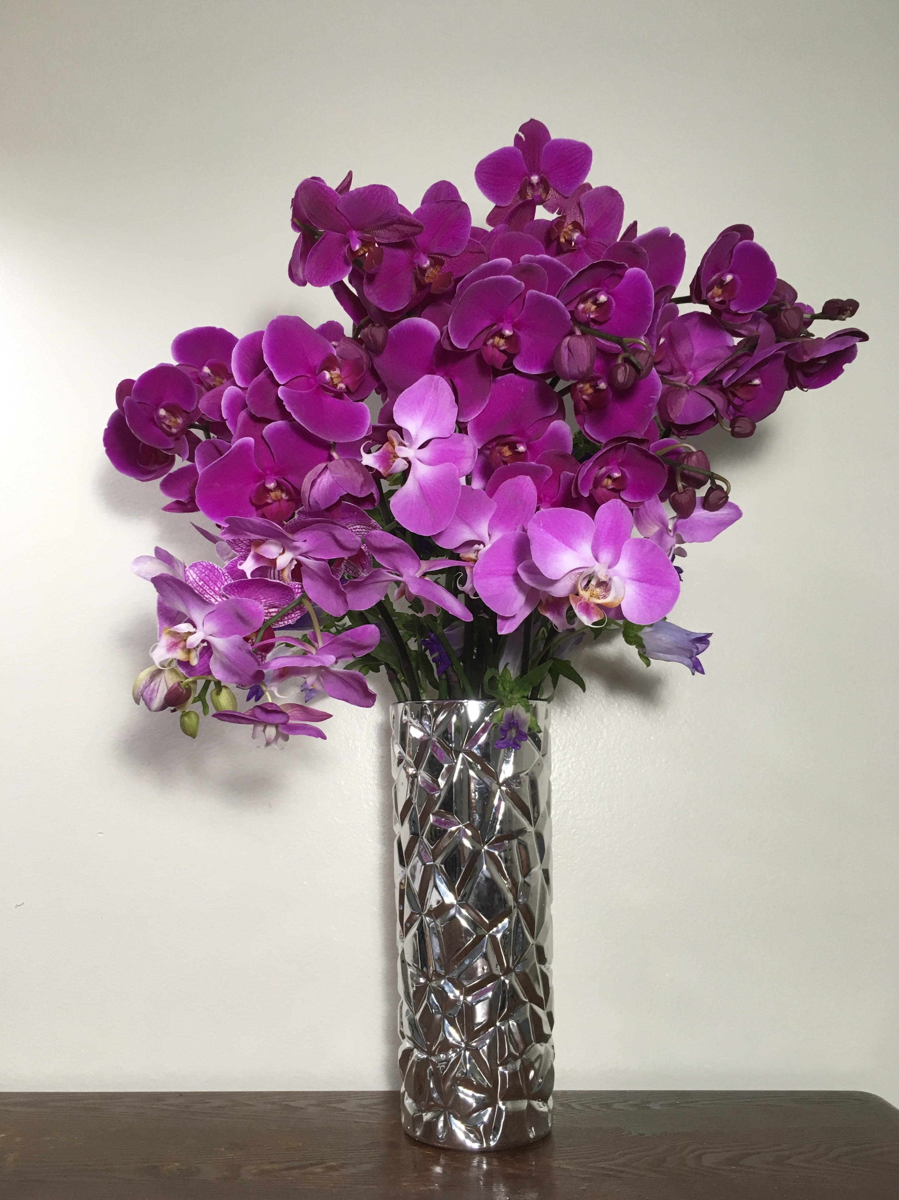 PURPLE ORCHIDS in Silver Glass Vase in Fort Lauderdale, FL Art of Petals