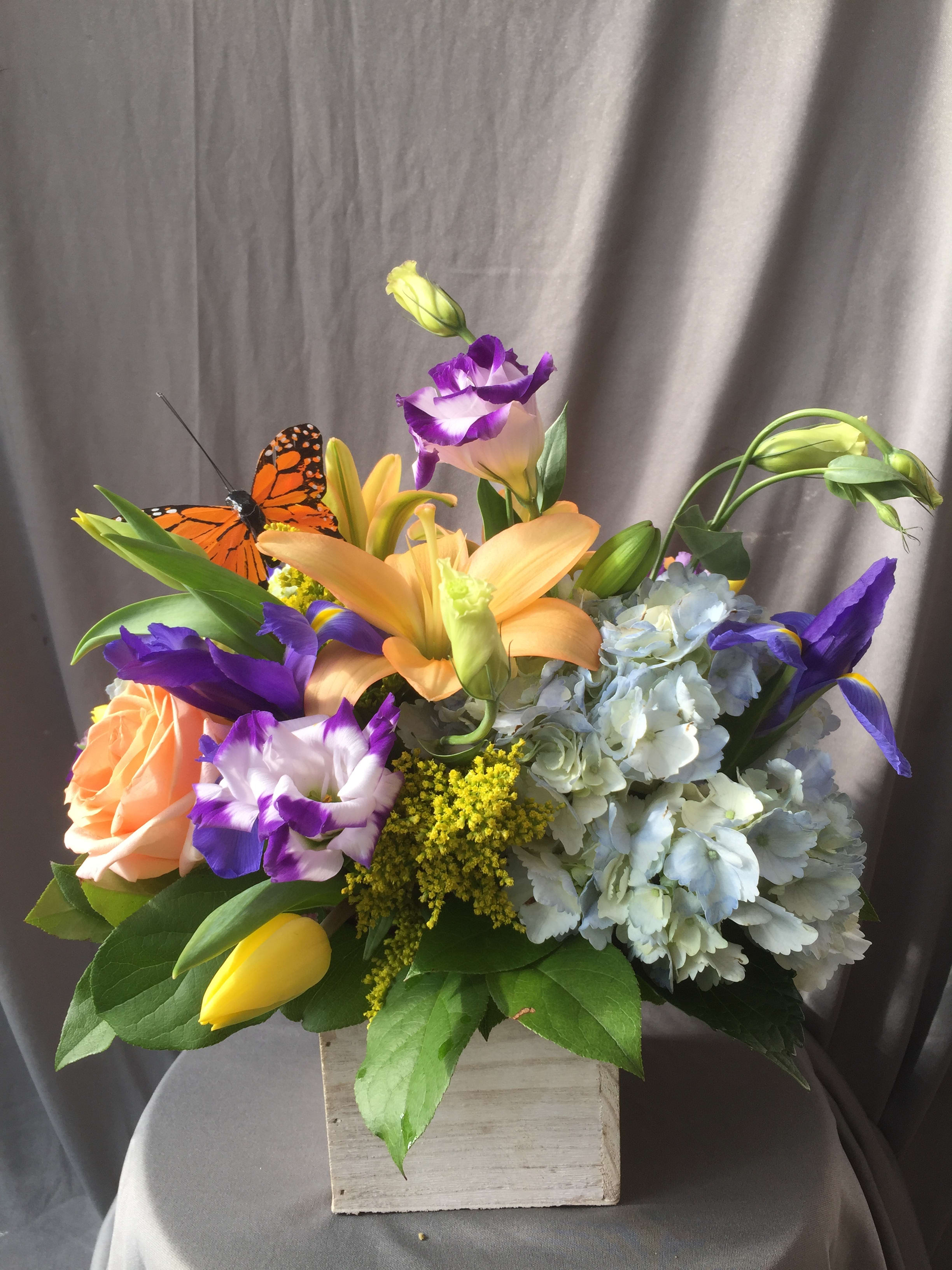 Butterfly Garden in Glenside, PA | Coupe Flowers Inc.