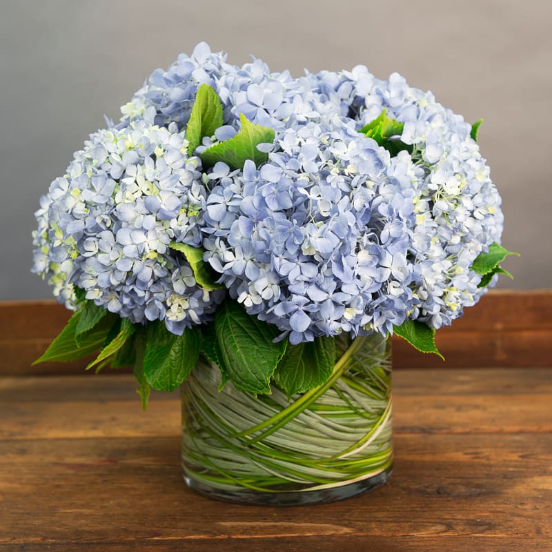 Rhapsody In Blue By Sada S Flowers
