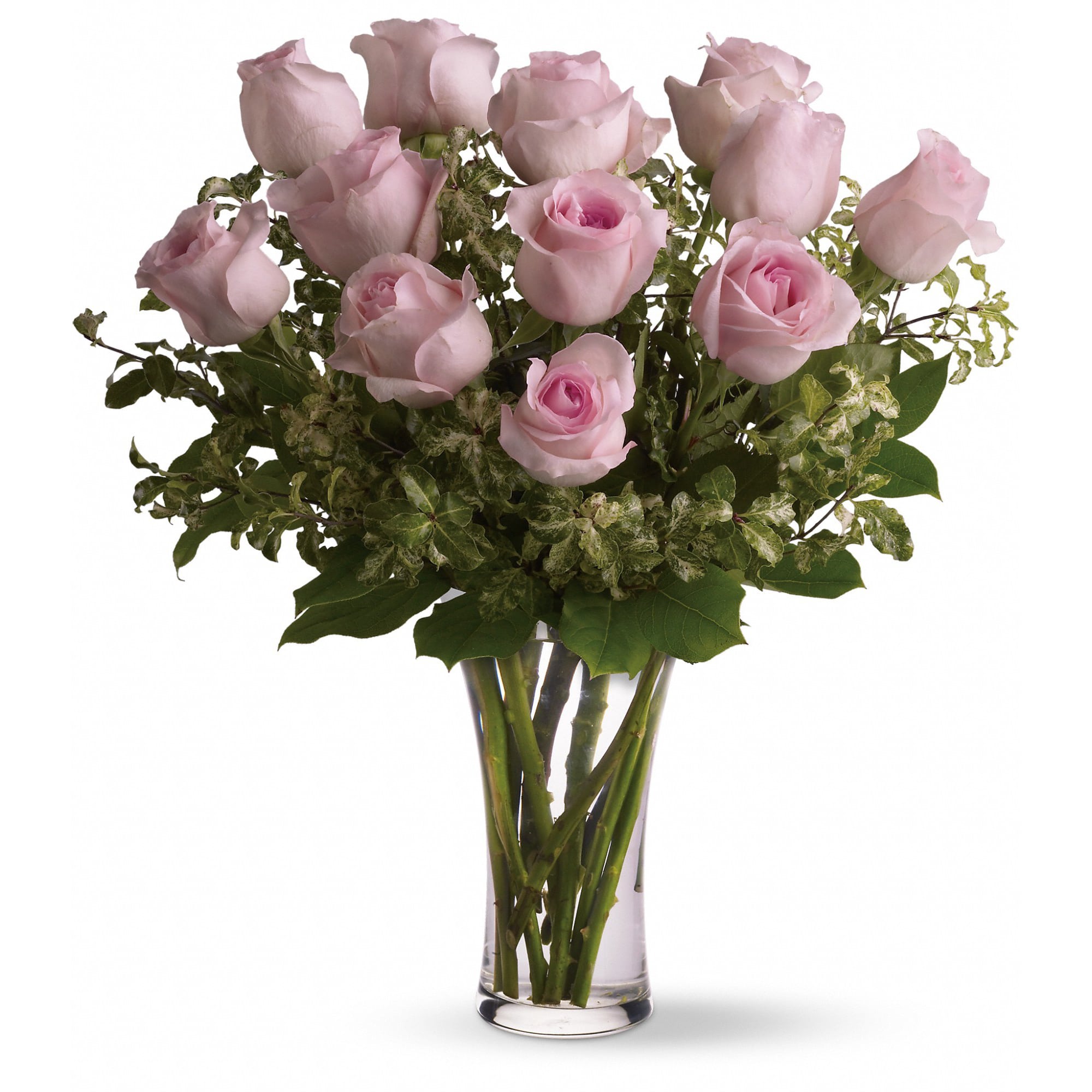 One Dozen Light Pink Roses In Melbourne Fl Buds Bows Floral Design