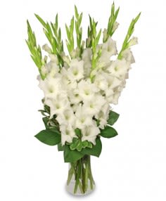 Glorious Gladiolus Vase Arrangement In Saint Louis Mo Always In Bloom