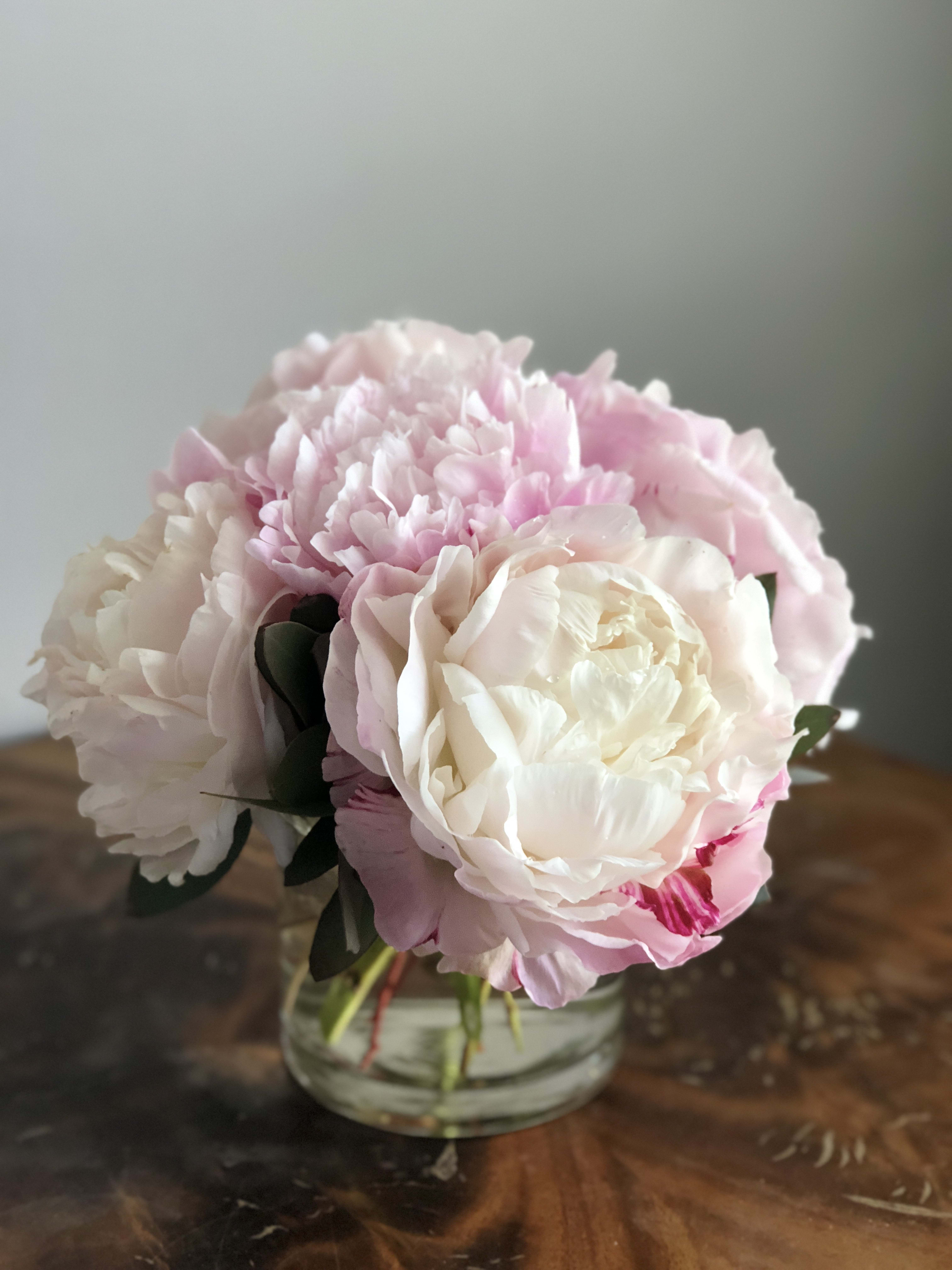Peony in Austin, TX Loose Leaf Florist