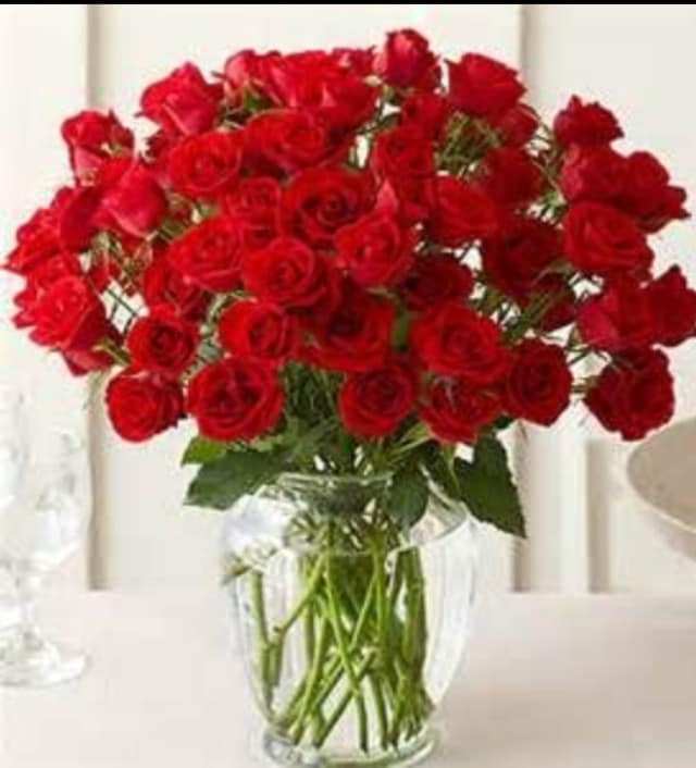 2 Dozen Rose Extravaganza In Gilbert Az Beloved Lily Floral Boutique