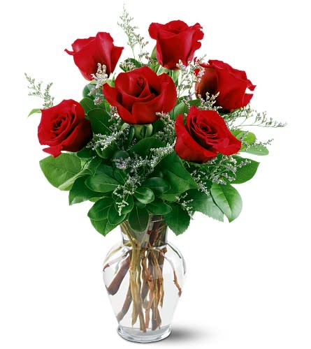 6 Red Roses In Sterling Va Gardelina Flowers