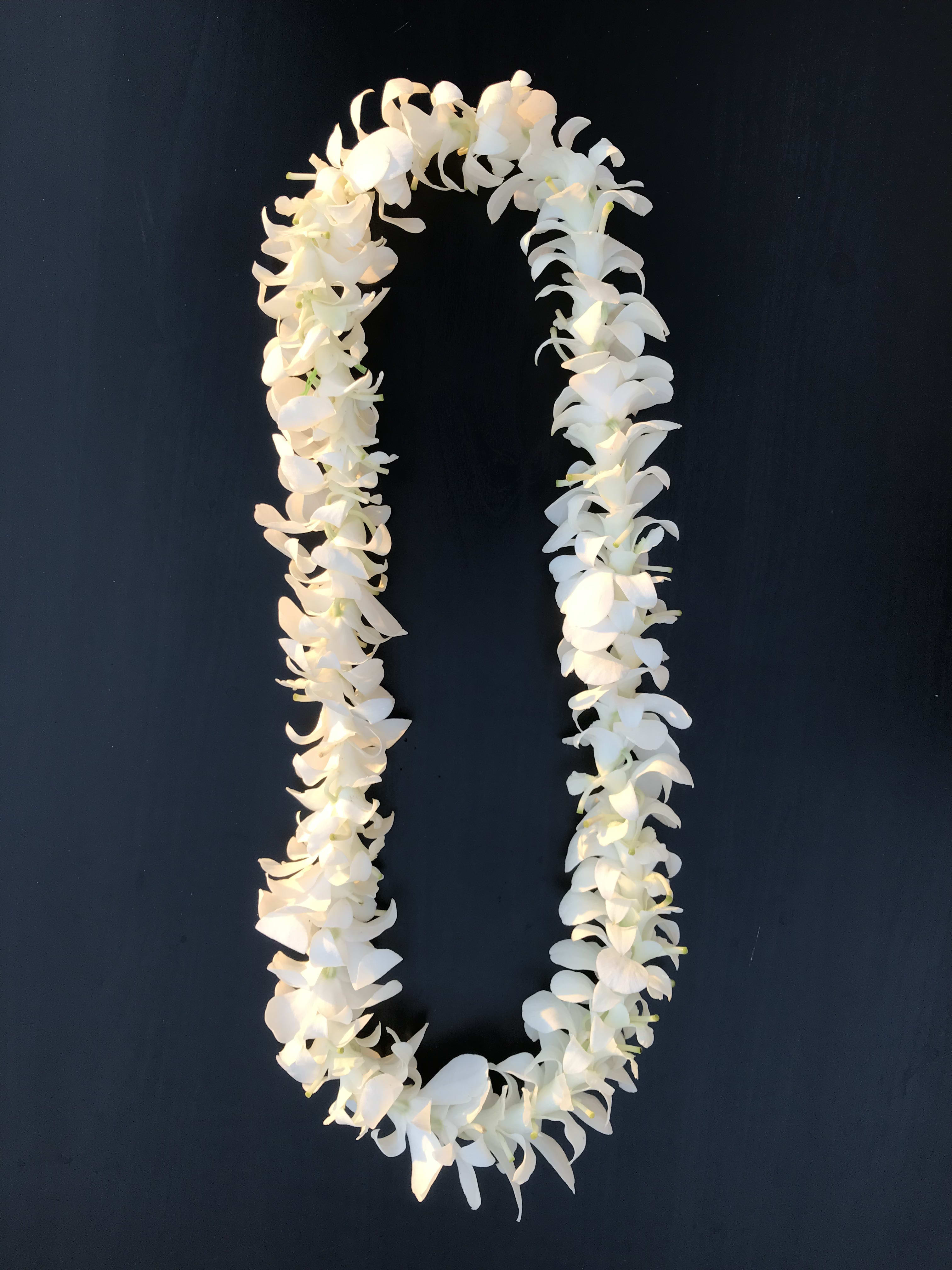 Single strand white orchid lei in Honolulu, HI J'Adore Couture Floral
