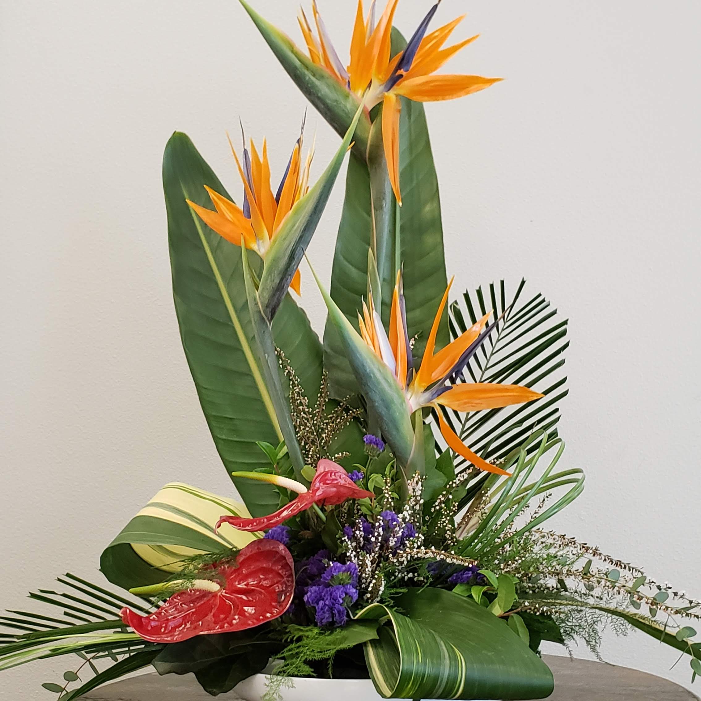 Tropical Flower Arrangements F05 8272