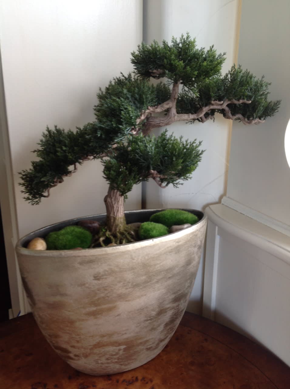 Silk Bonsai Tree in Reno, NV | Devonwoods