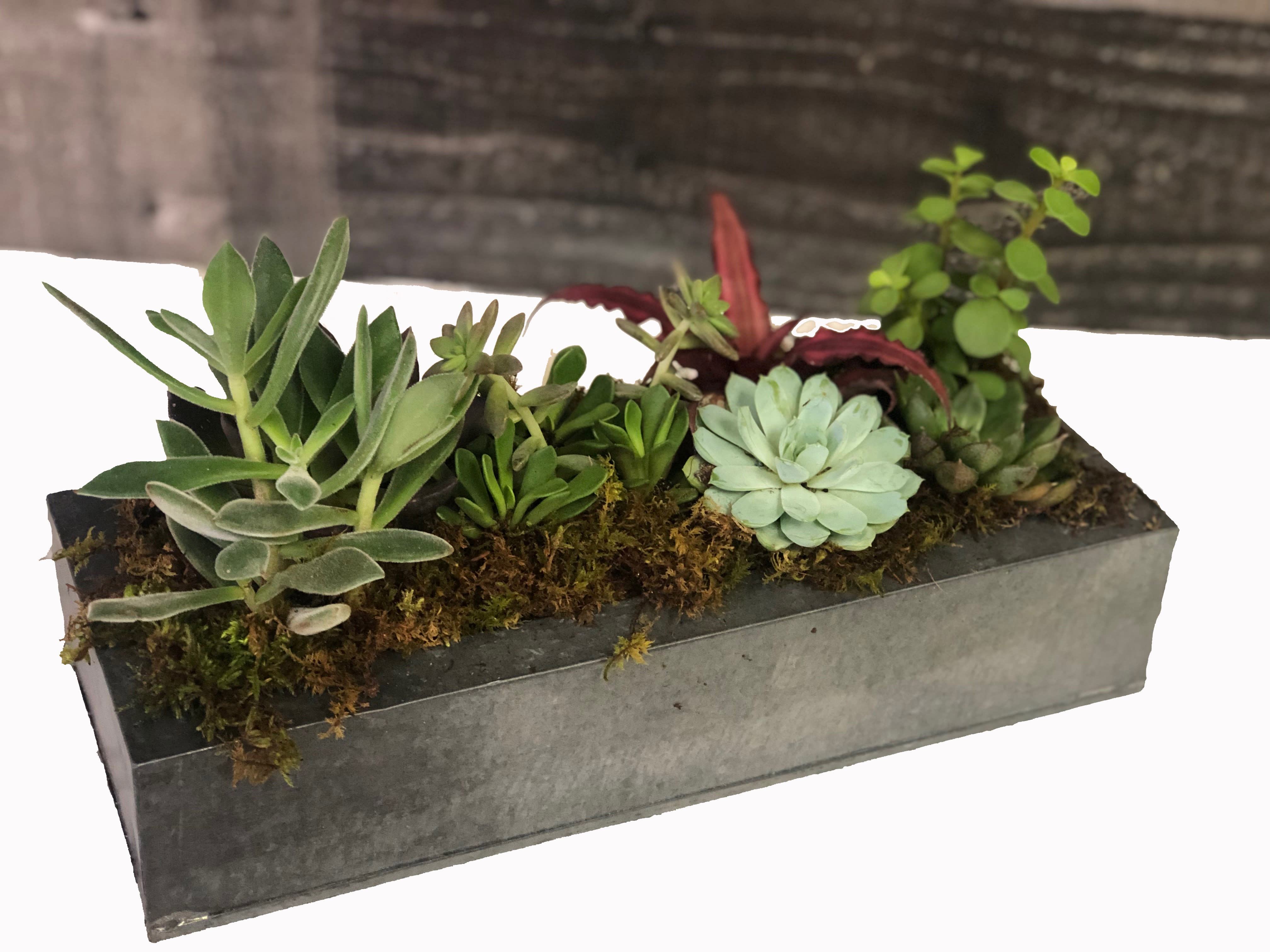 Zen Garden in Rocky Hill, CT TK & Brown's Flowers Terri Krisavage