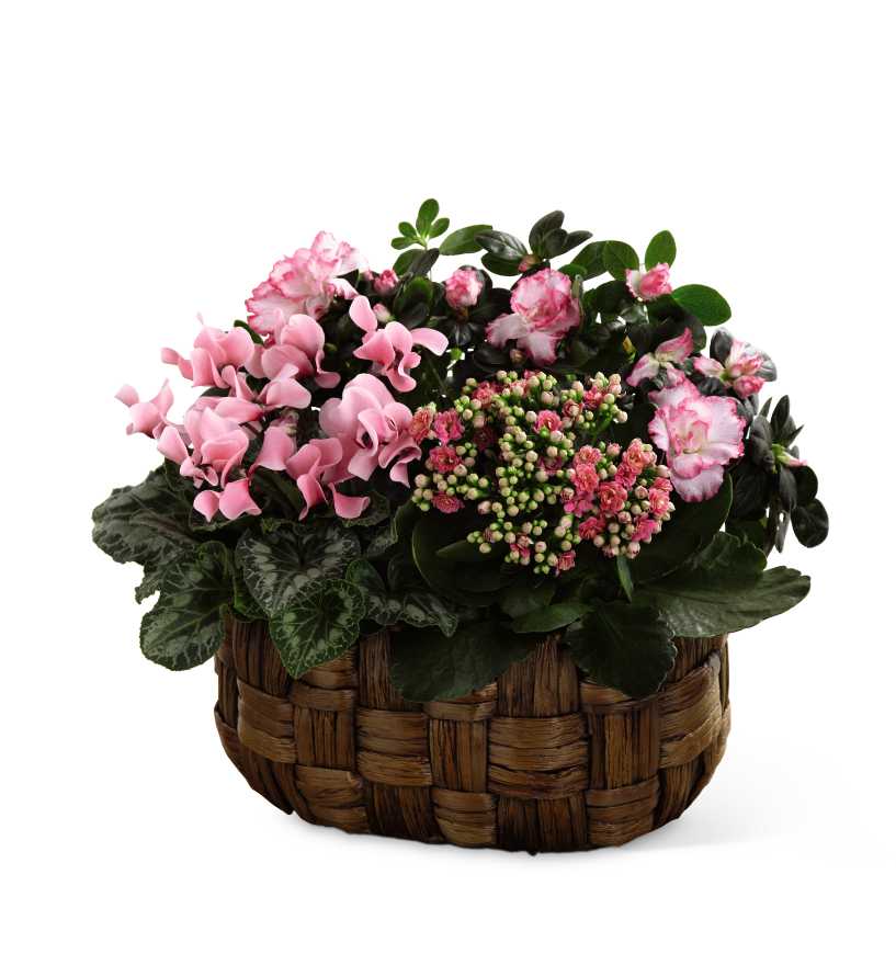 Pink Assortment in Anaheim, CA | Visser's Florist ...